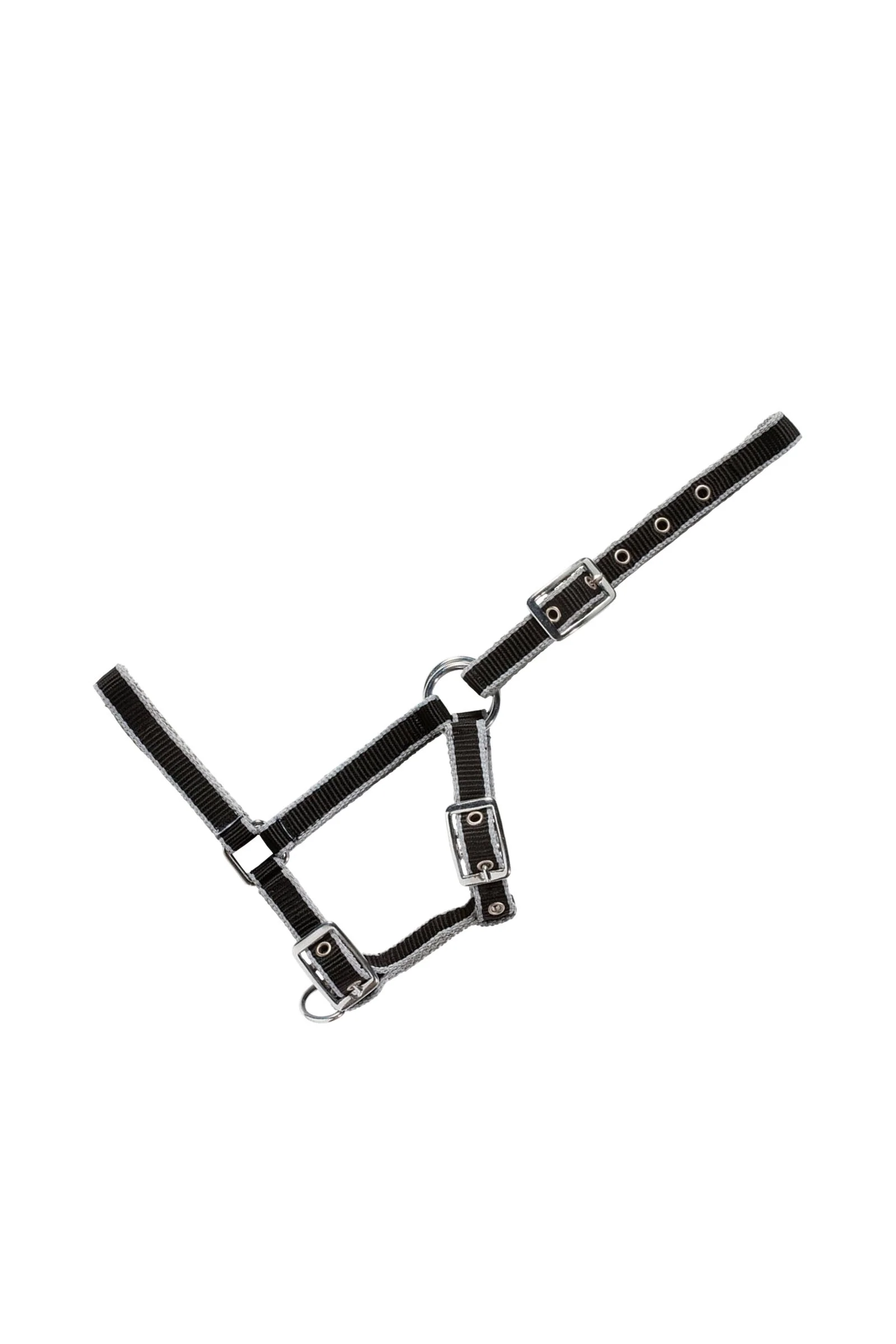 Adjustable Foal Halter Black/Grey Foal