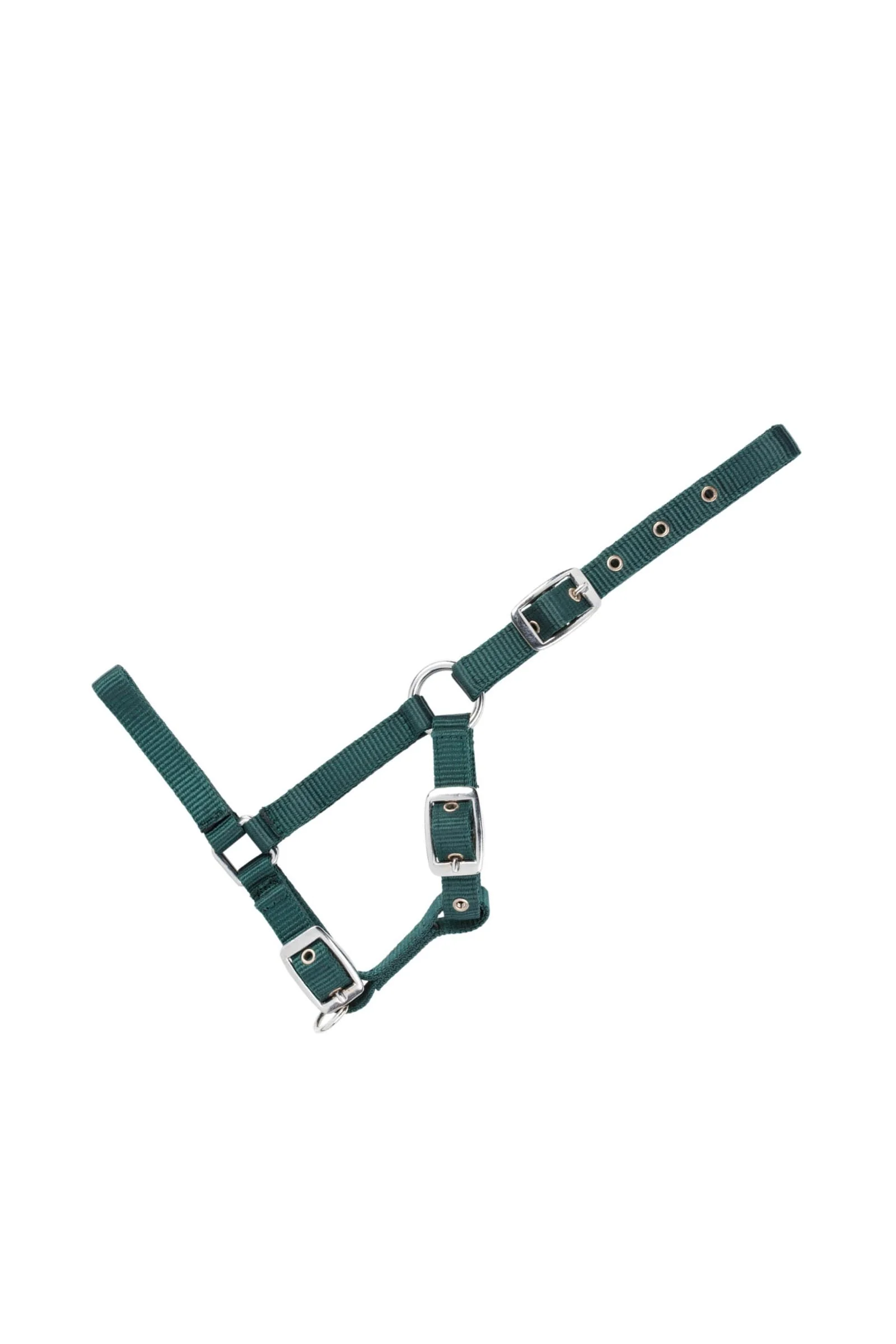 Adjustable Foal Halter Green Foal