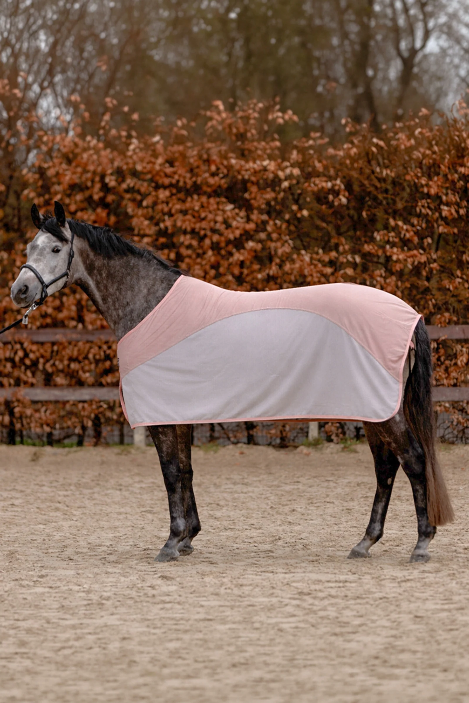 Aeris Fly Rug Rosegold/Silver 135