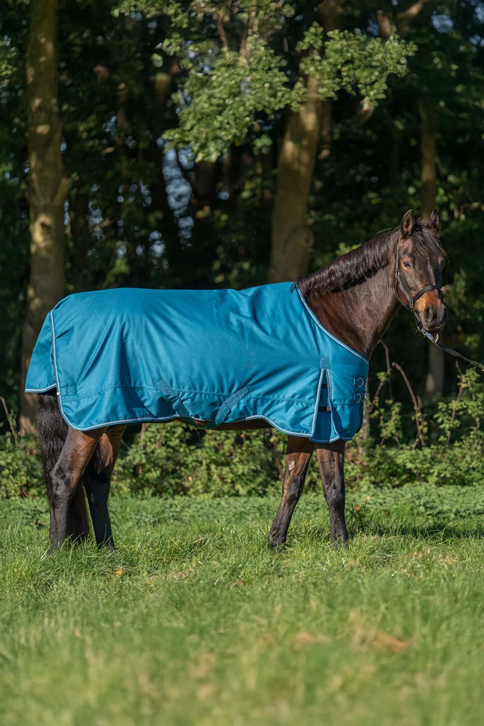 Alaska IV Fleece Turnout Rug Petrol/Petrol-Bordeaux-White 155