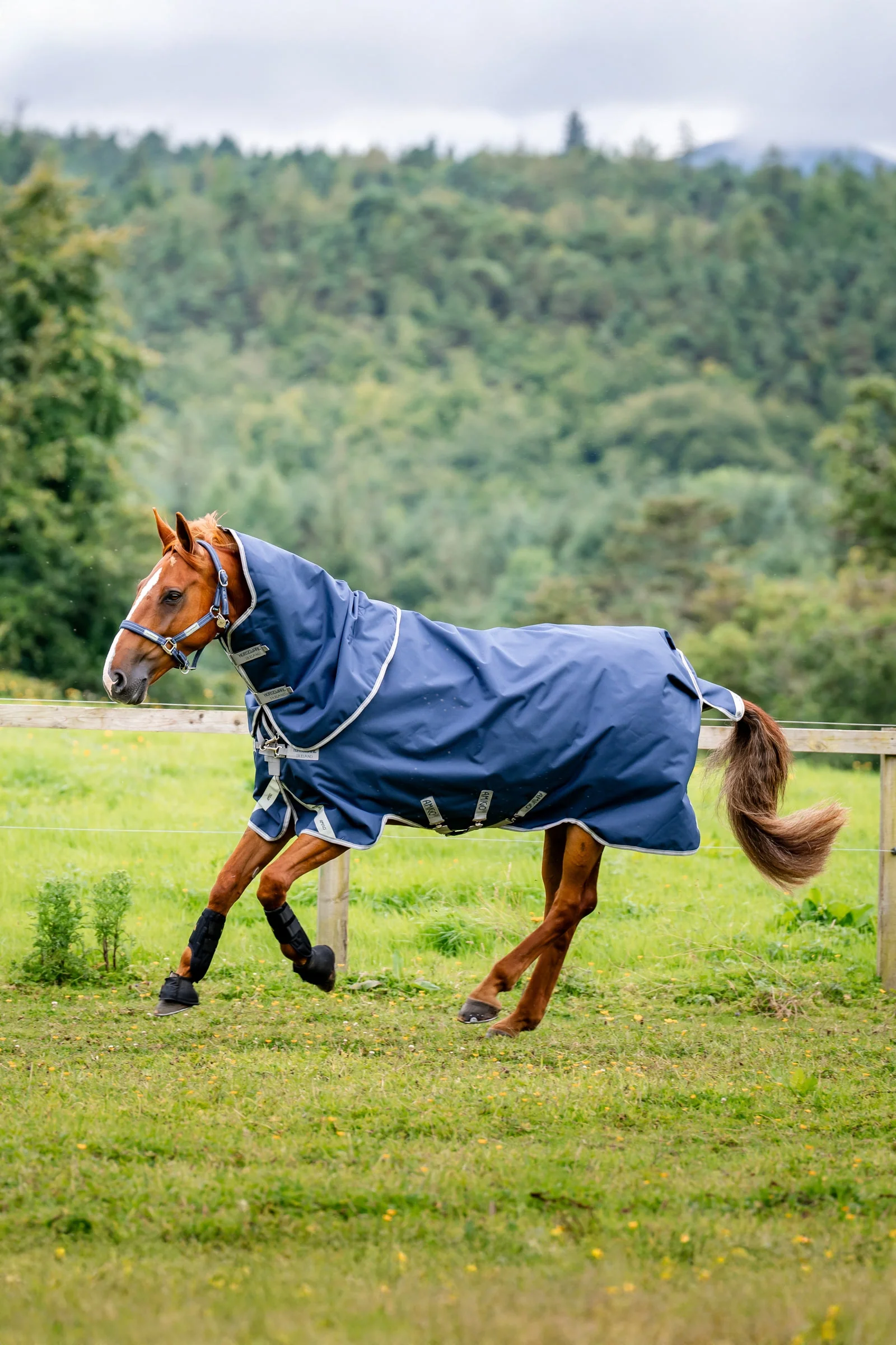 Amigo 1200D Plus Turnout Rug, 250 g Navy/Titanium Grey/Silver 115