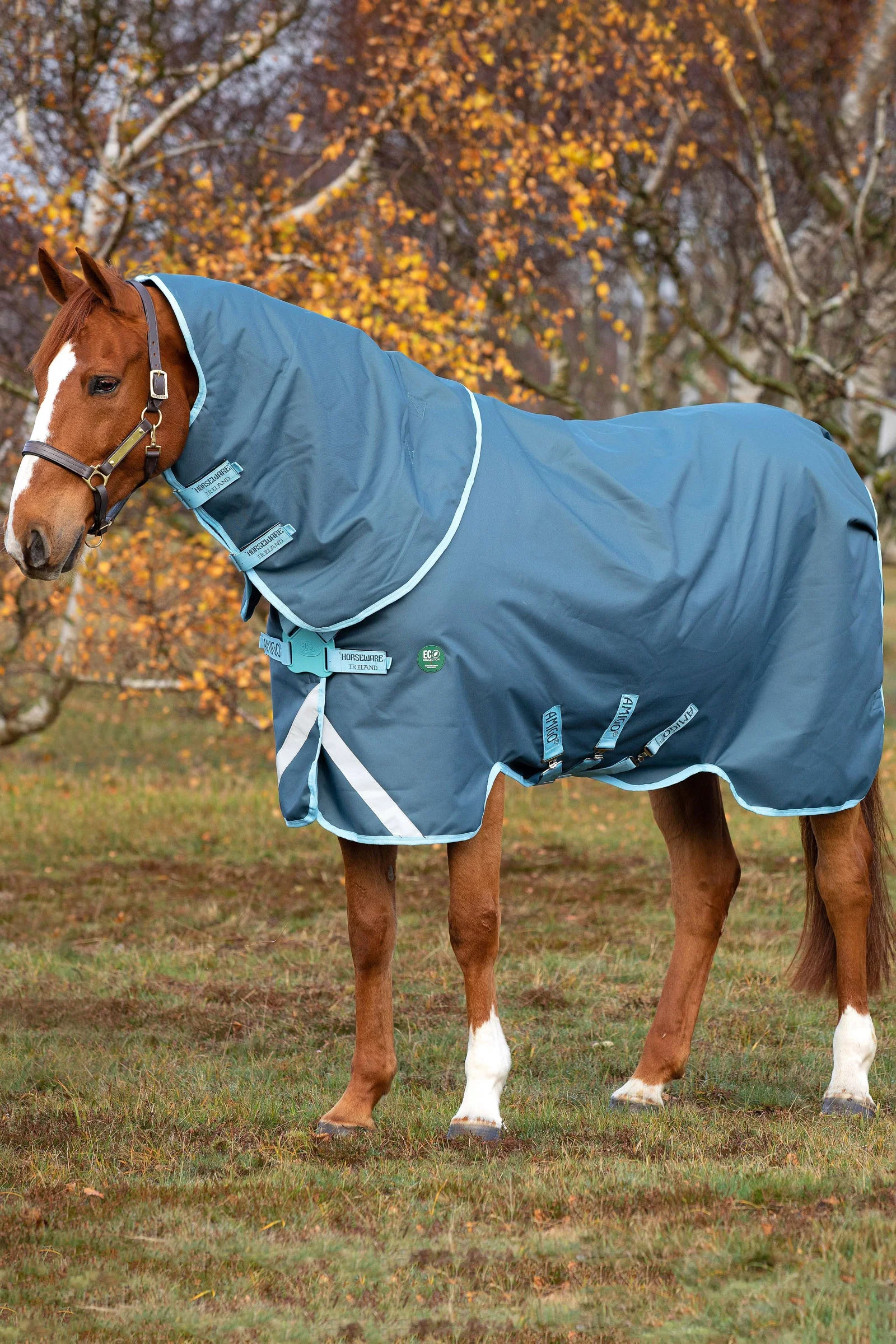 Amigo AmEco 12 Plus incl. Detachable Hood, 250g DB/SB/DB 155