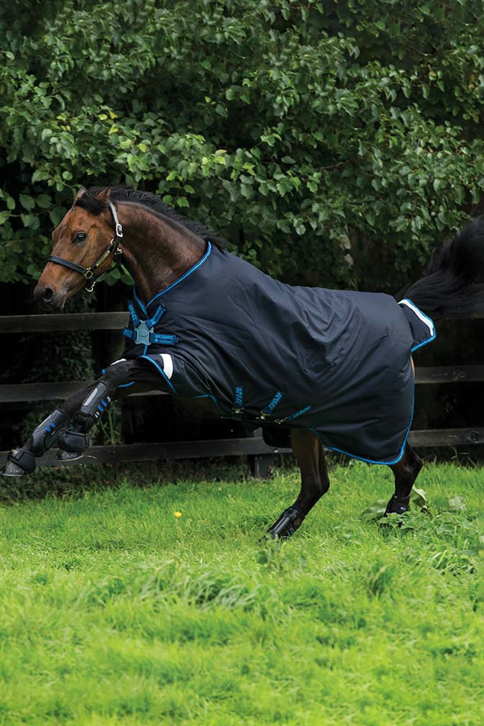 Amigo Bravo 12 Disc Turnout Rug, 100g Dark Blue/Dark Blue/Electric Blue 115