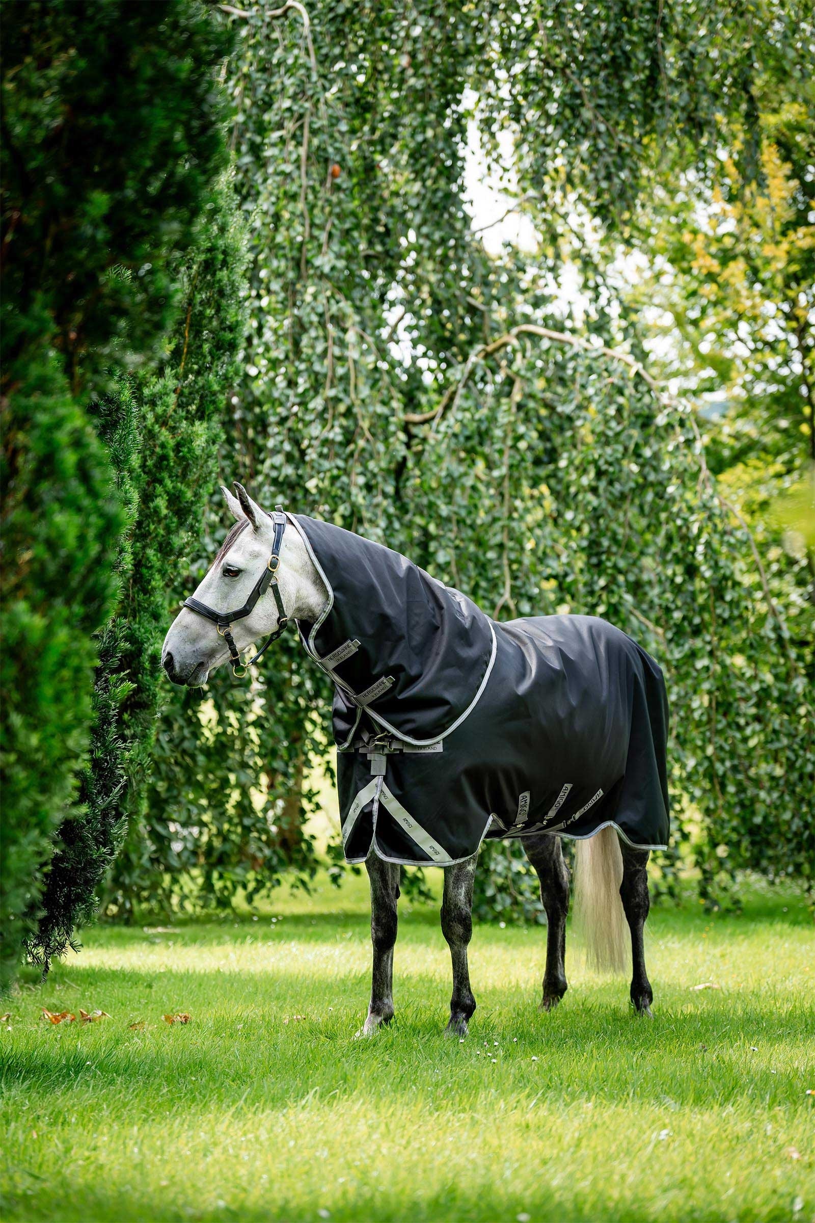 Amigo Bravo 12 Plus Turnout Rug With Detachable Neck, 400g Black/Titanium Grey & Silver 125