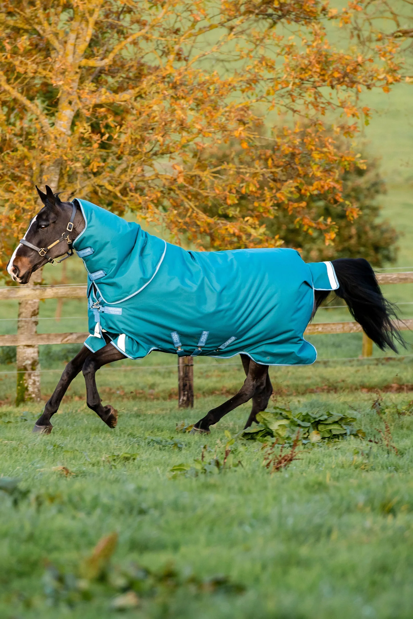 Amigo Bravo 12 Plus Turnout Rug With Detachable Neck, 400g Storm Green 130