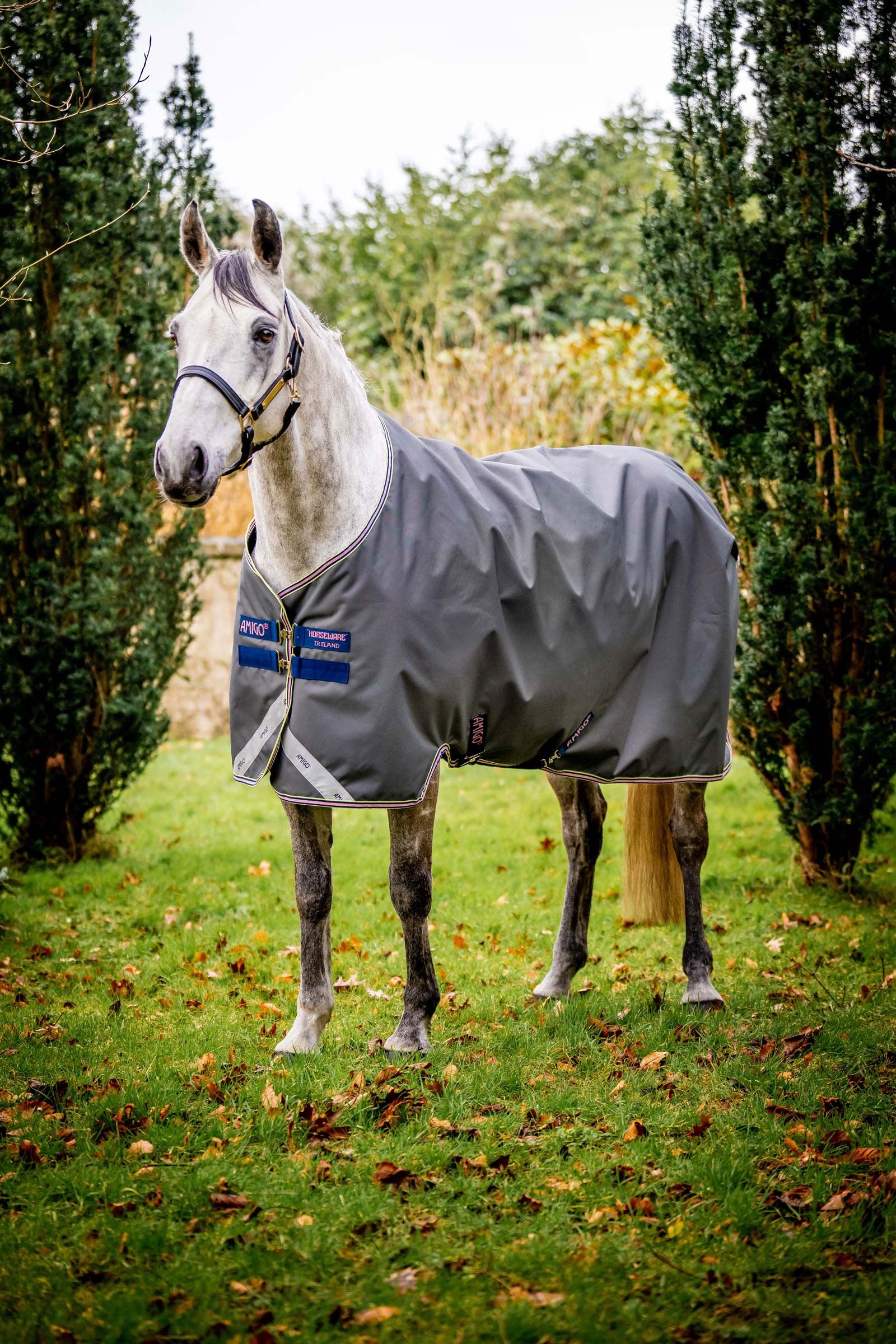 Amigo Bravo 12 Turnout Rug, 0g Shadow/ Navy & Rose 115