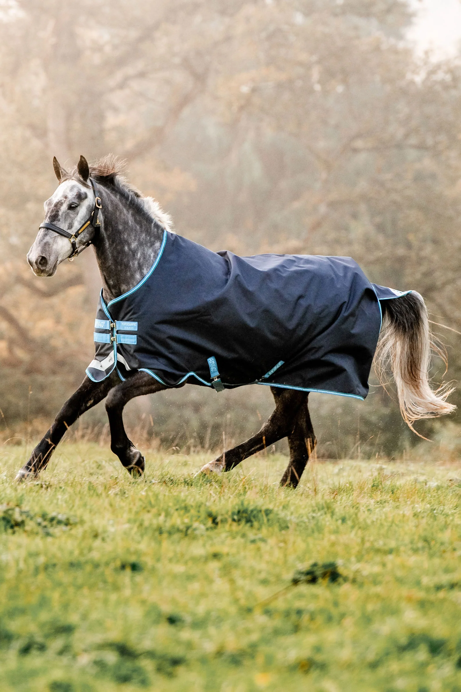 Amigo Bravo 12 Turnout Rug, 100g Navy/ Turquoise 115
