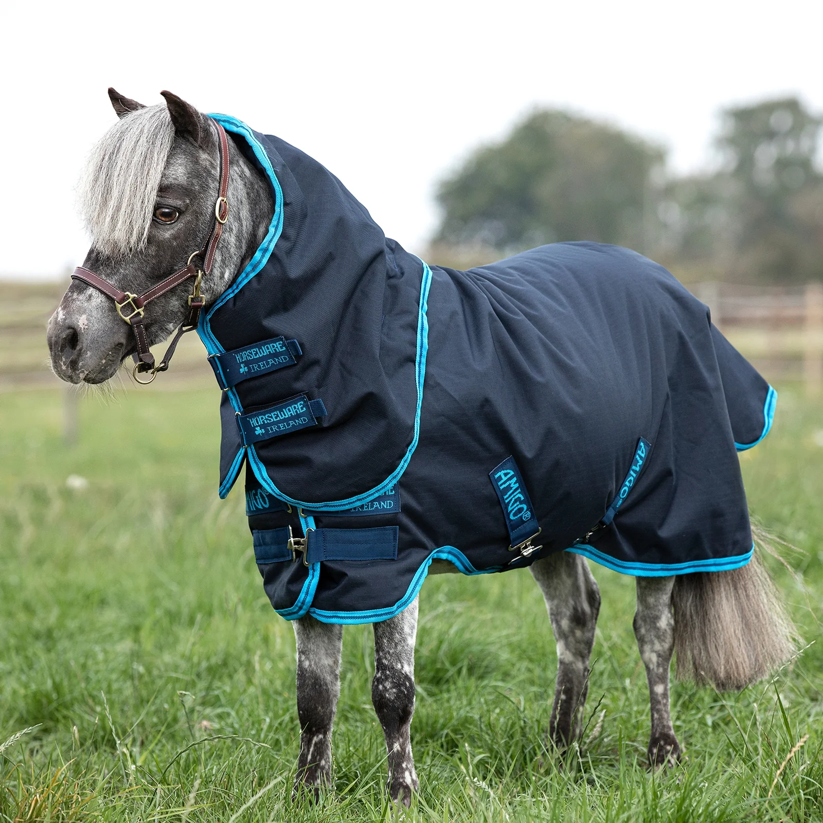 Amigo Hero 6 Petite Plus Turnout incl. Detachable Hood, 200g Navy/Electric Blue/Navy 60