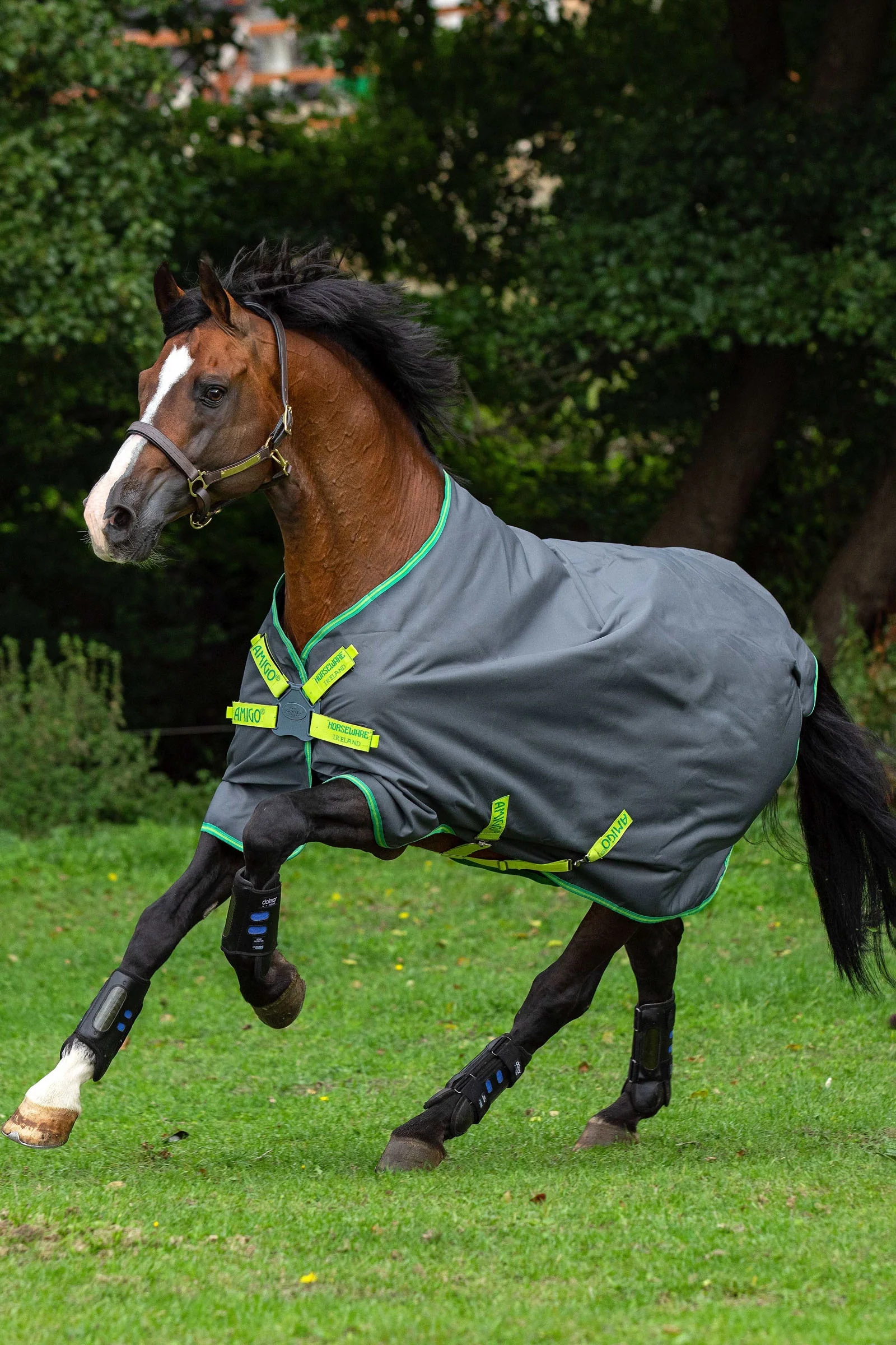 Amigo Hero 900 Lite Disc Turnout Rug, 0g Grey/Green/Lime 115