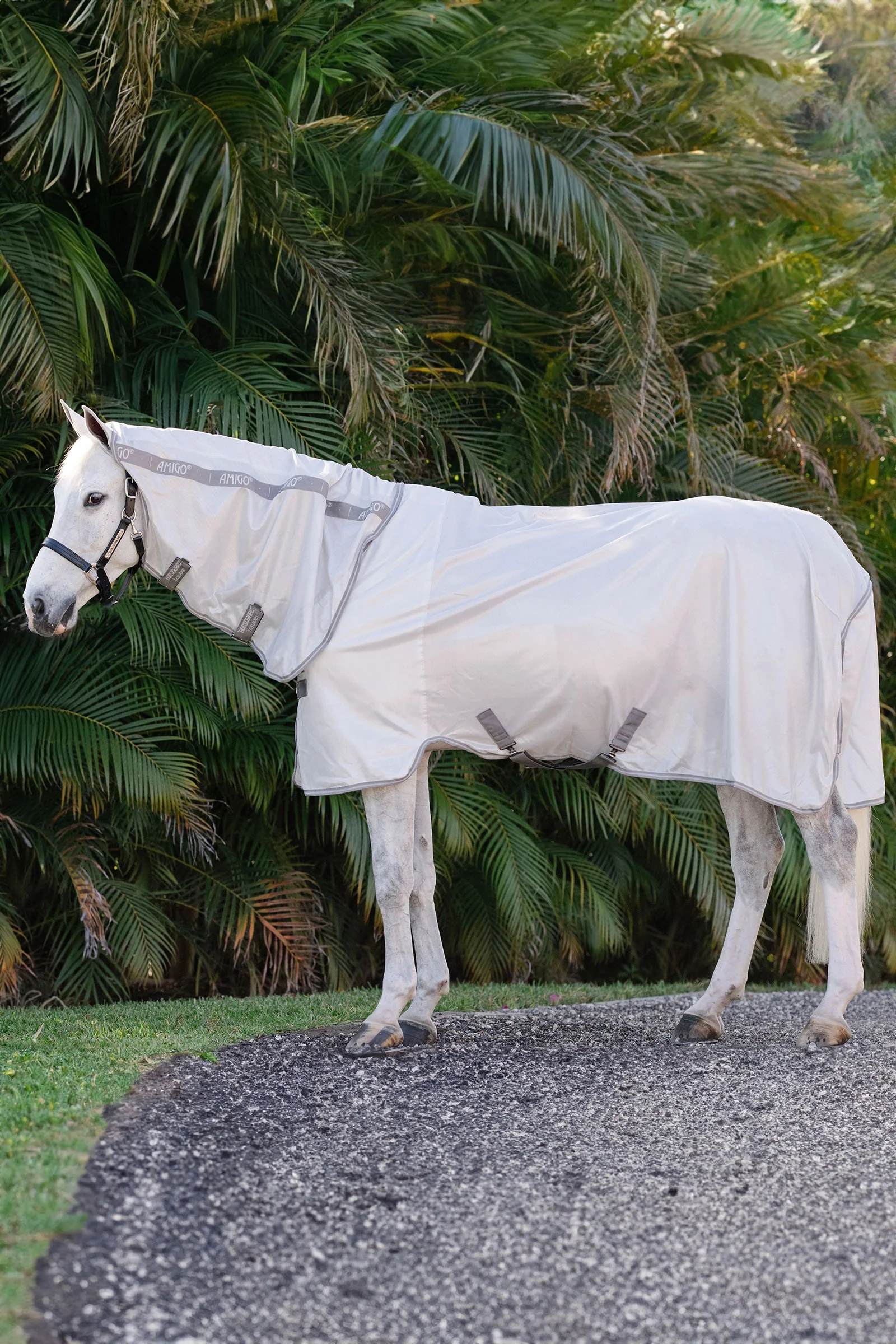 Amigo Integrated Fly Sheet Silver/Titanium Grey & Silver 165