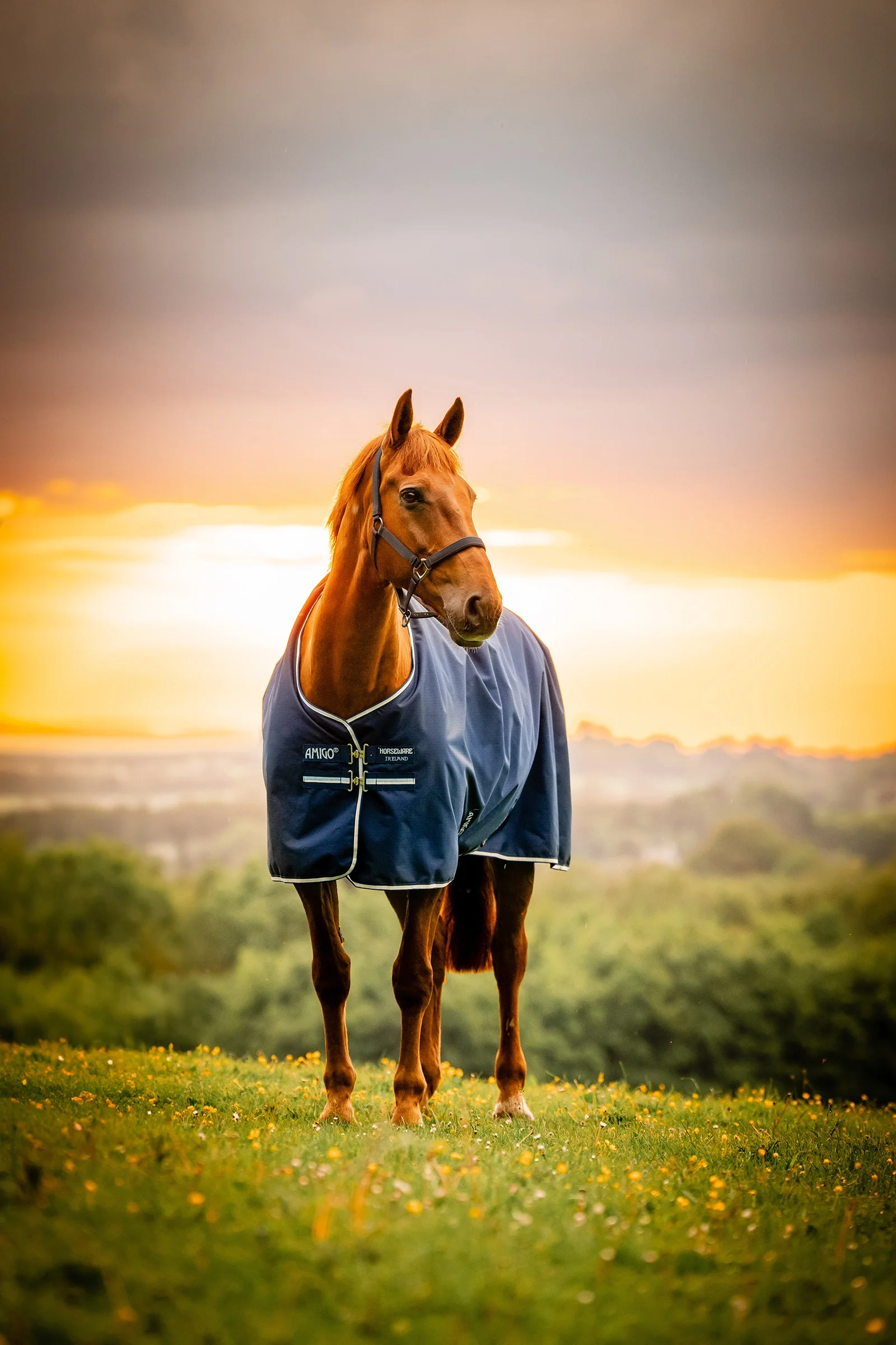 Amigo Ripstop 900D Fleece Lined Turnout Rug, 50 g Witney Navy 125