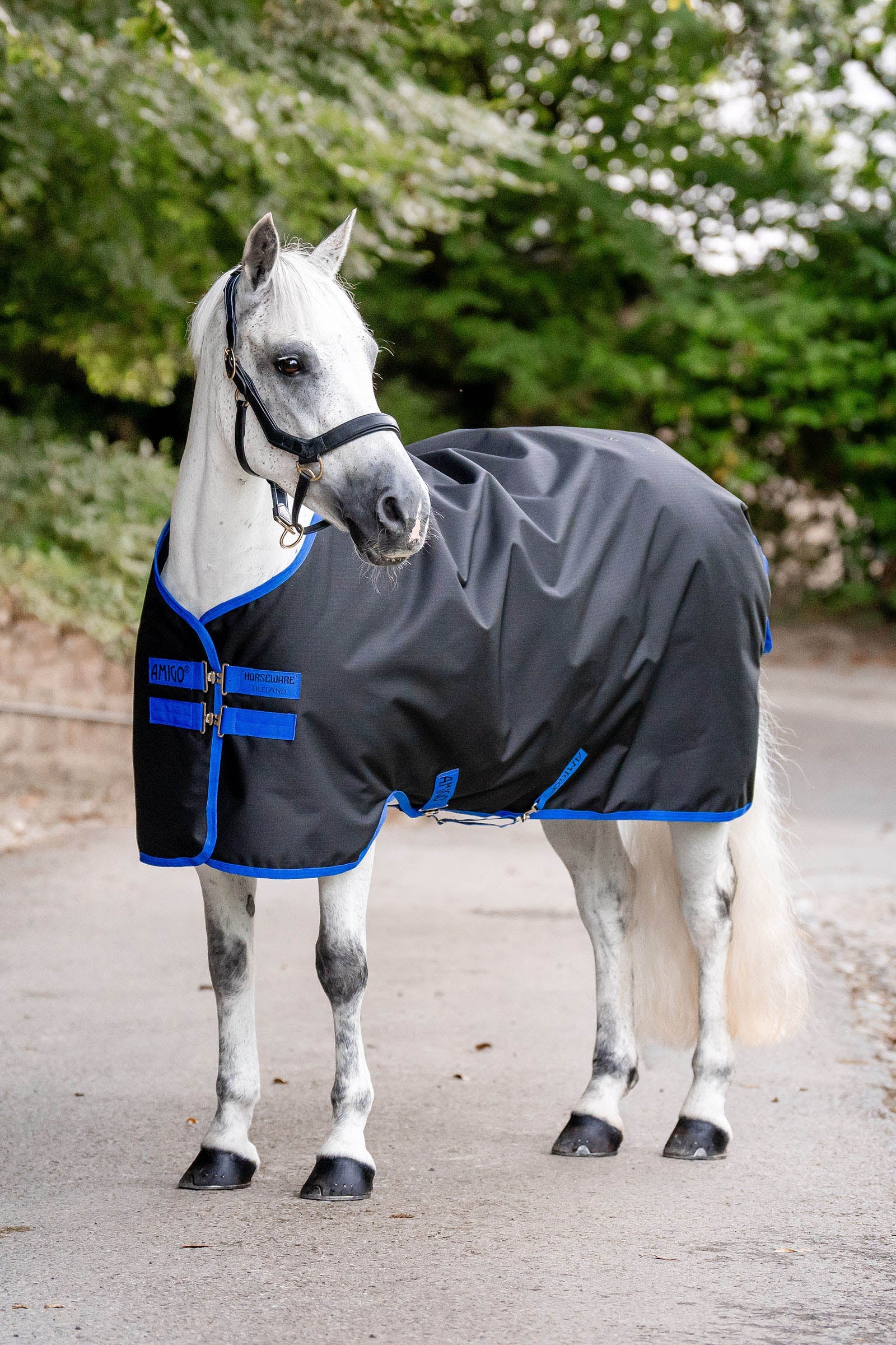 Amigo Ripstop 900D Turnout 0g Black/Classic Blue 155