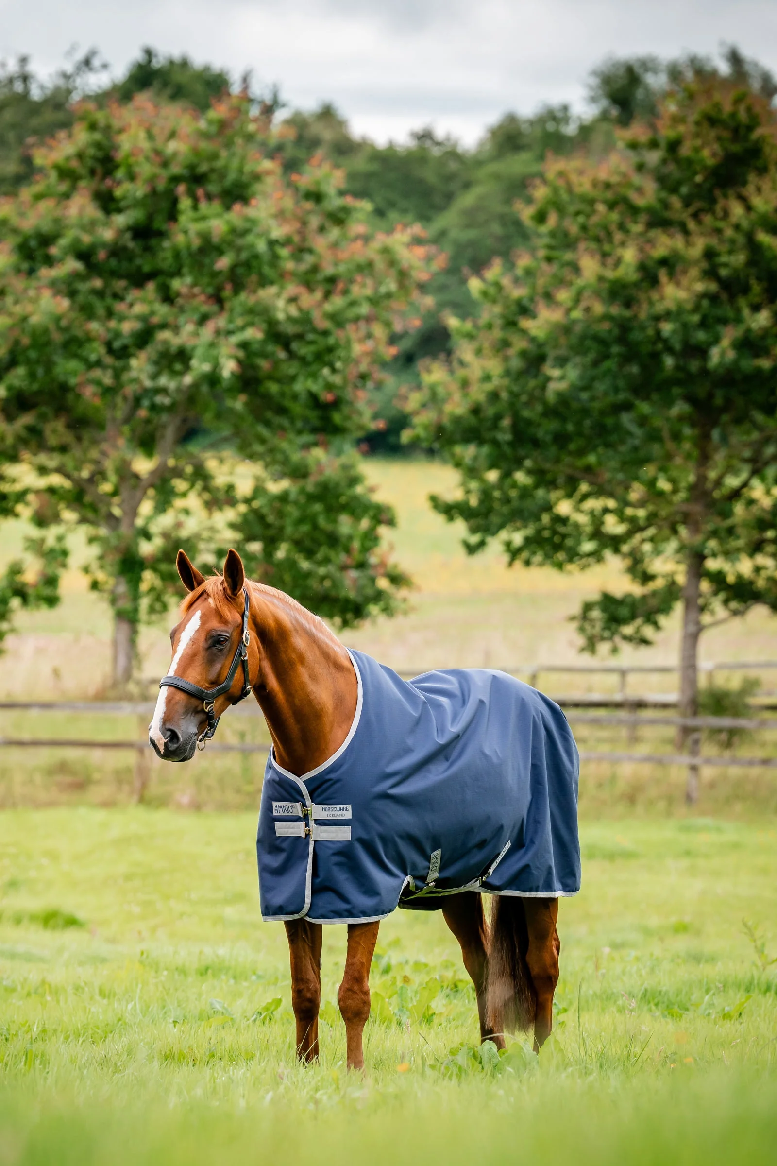 Amigo Ripstop 900D Turnout 0g Witney Navy 140