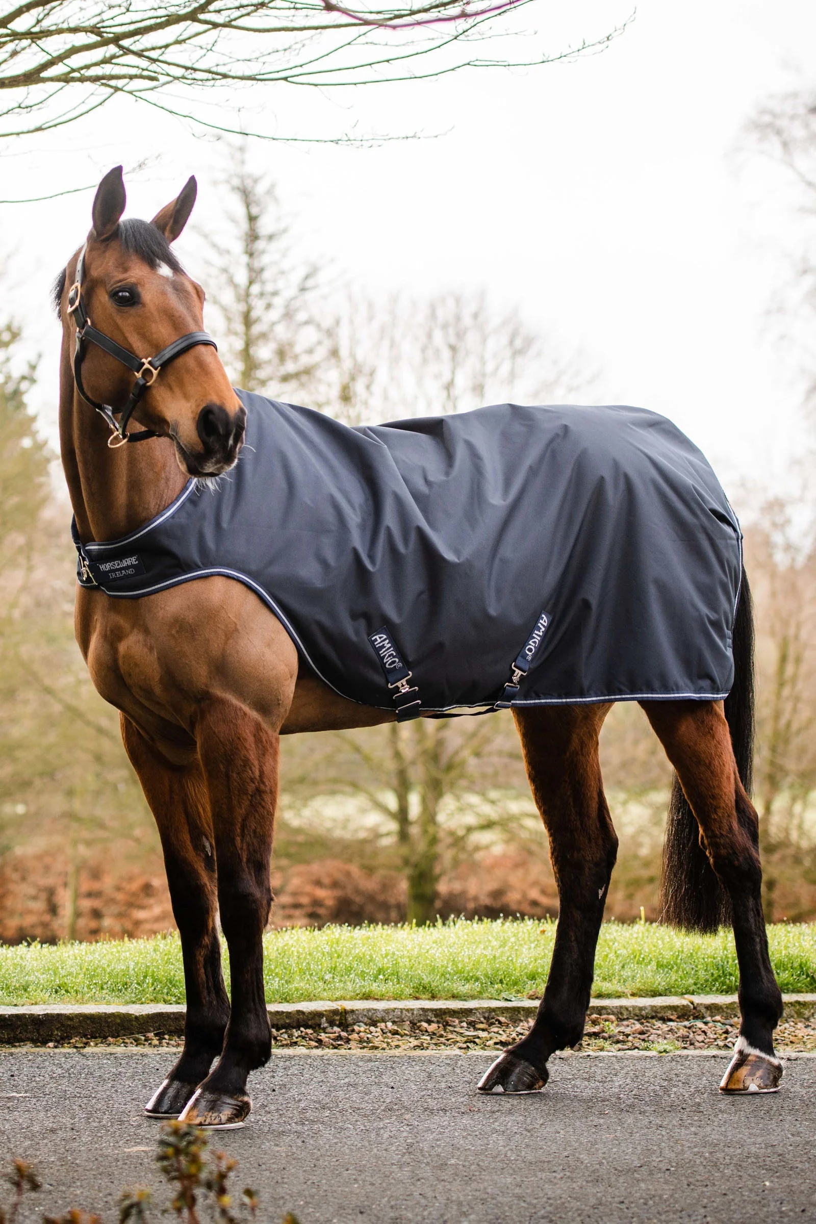 Amigo Walker Rug, 100g Dark Blue/Dark Blue/White M