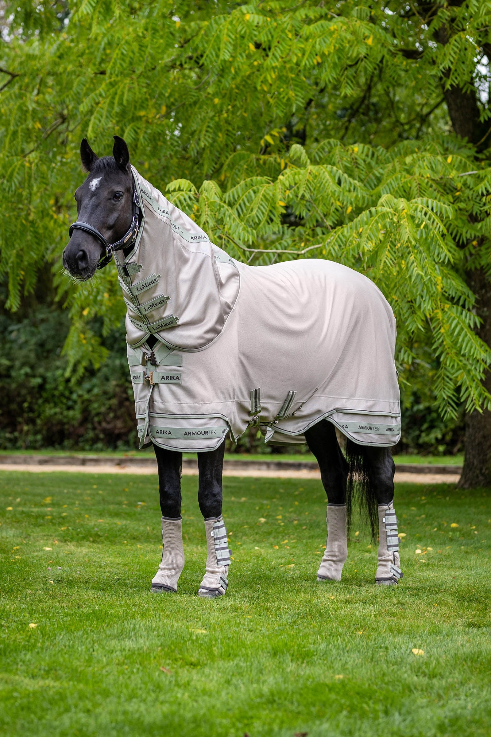 Arika Armour-Tek Fly Rug With Detachable Neck Stone / Fern 155
