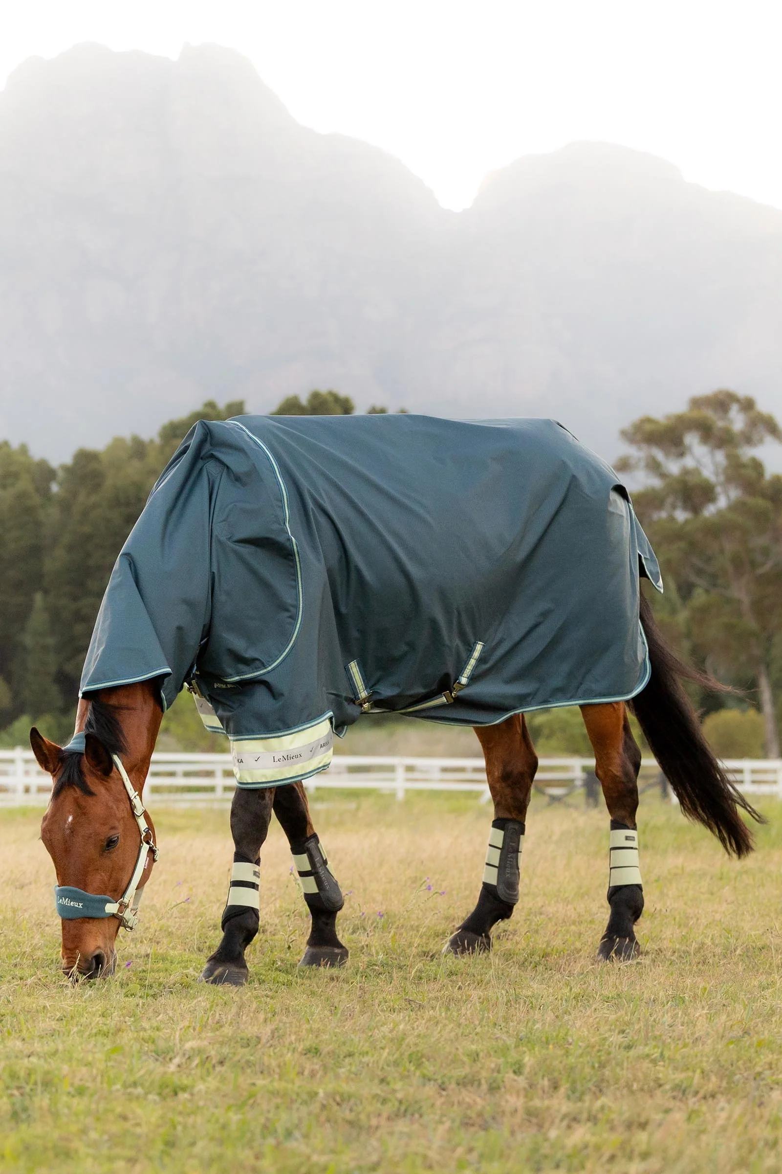 Arika Ripstop Turnout Rug With Detachable Neck, 0 g Jungle 155