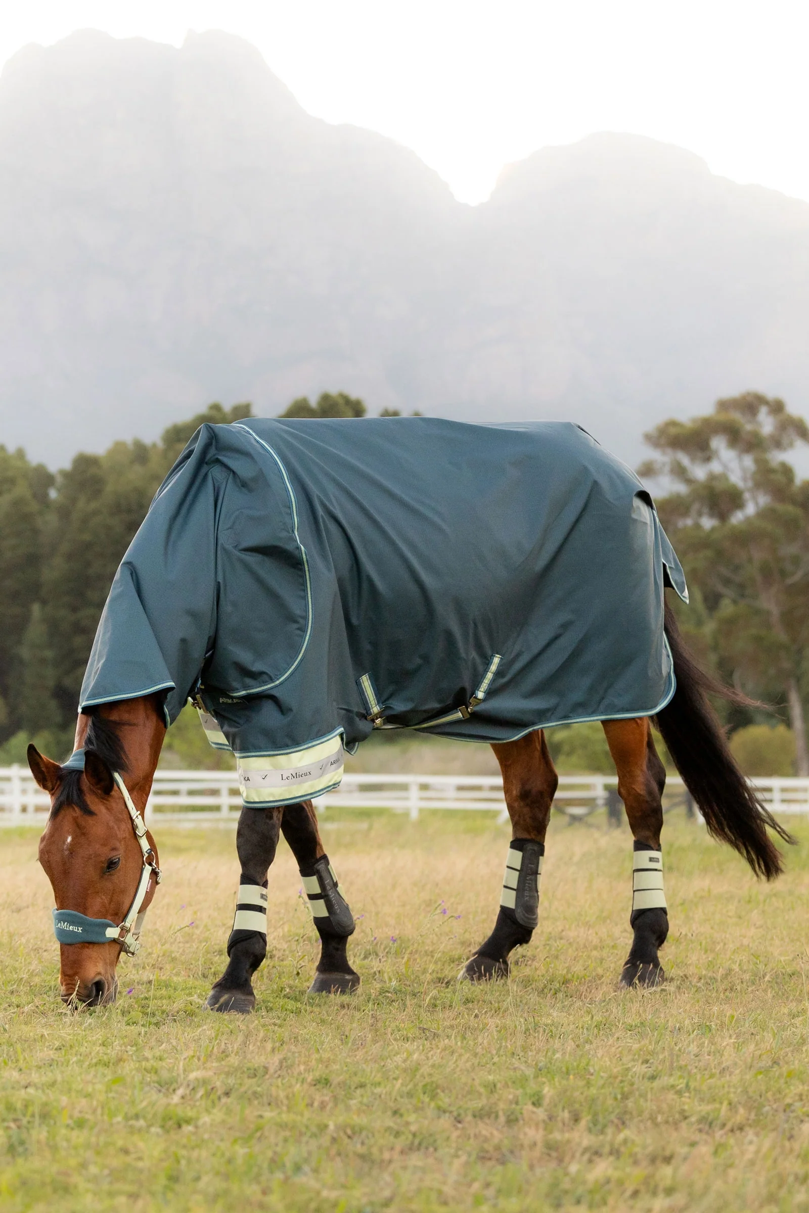Arika Ripstop Turnout Rug With Detachable Neck, 50g Jungle 155