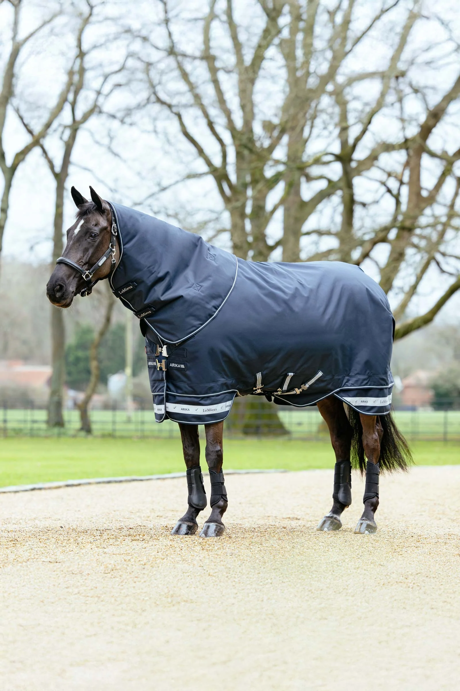 Arika Storm-Tek Rug With Detachable Neck, 200 g Navy 95