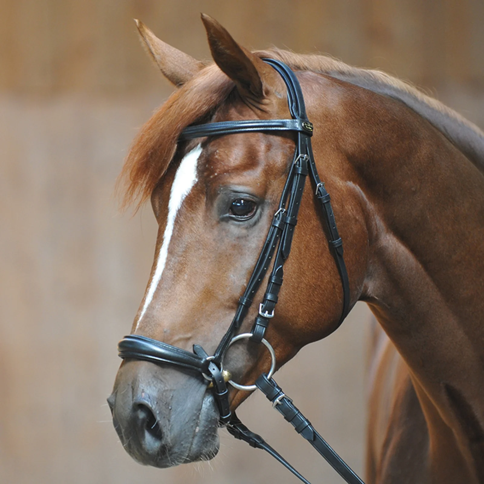 Bridle Line Ecoline, drop noseband Black SHP - Image 2