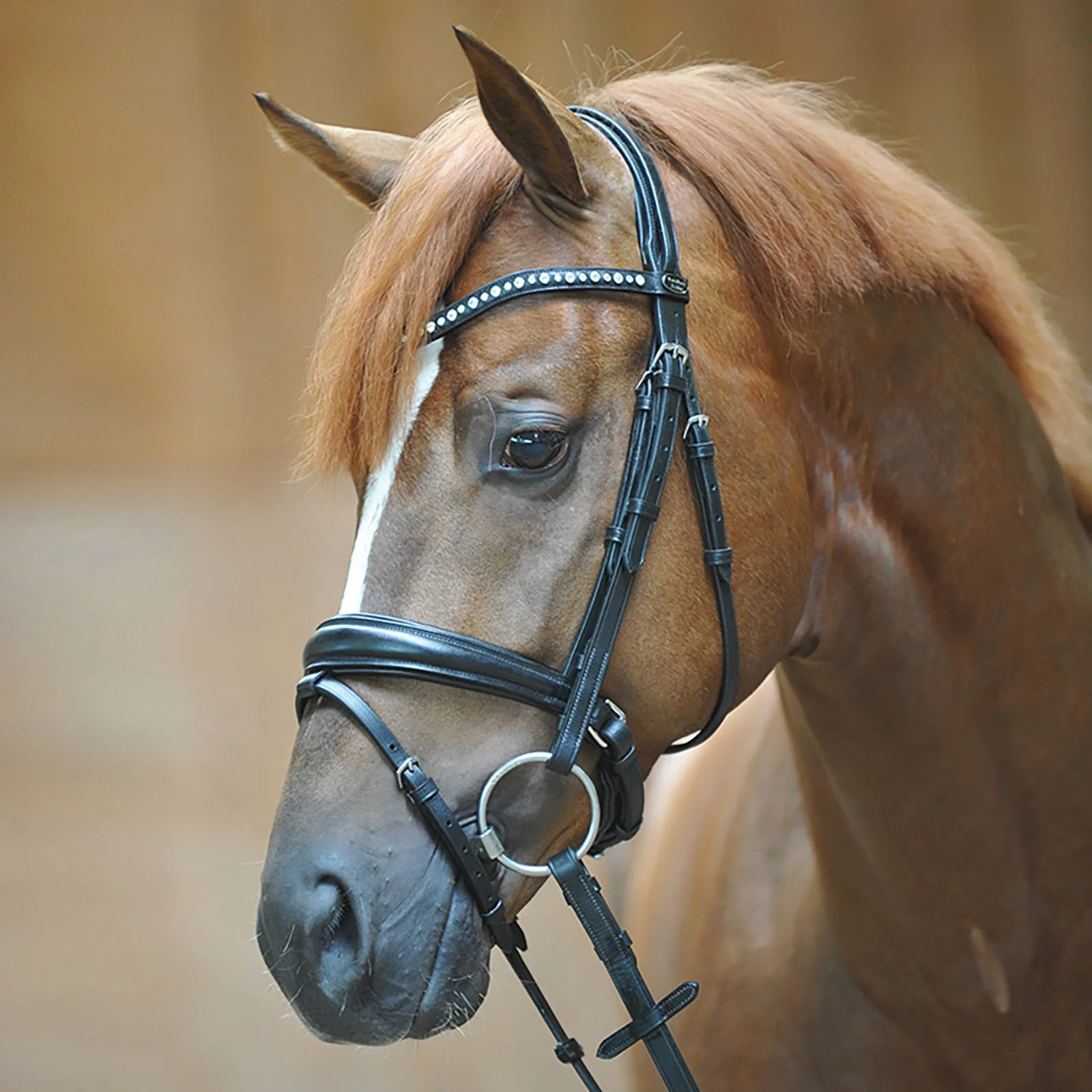 Bridle Mia, crank noseband w/ flash Black P