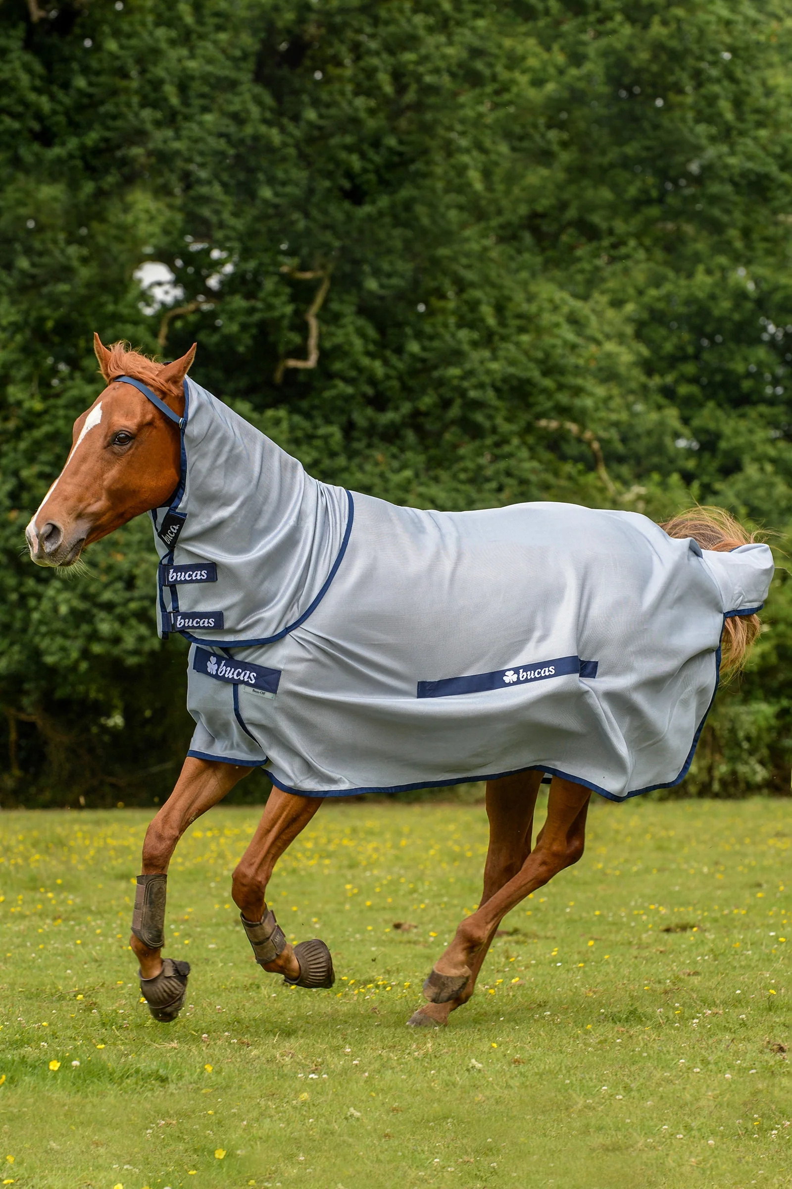 Buzz-Off Full Neck Fly Rug Pony with fixed Neck Silver/Blue 120
