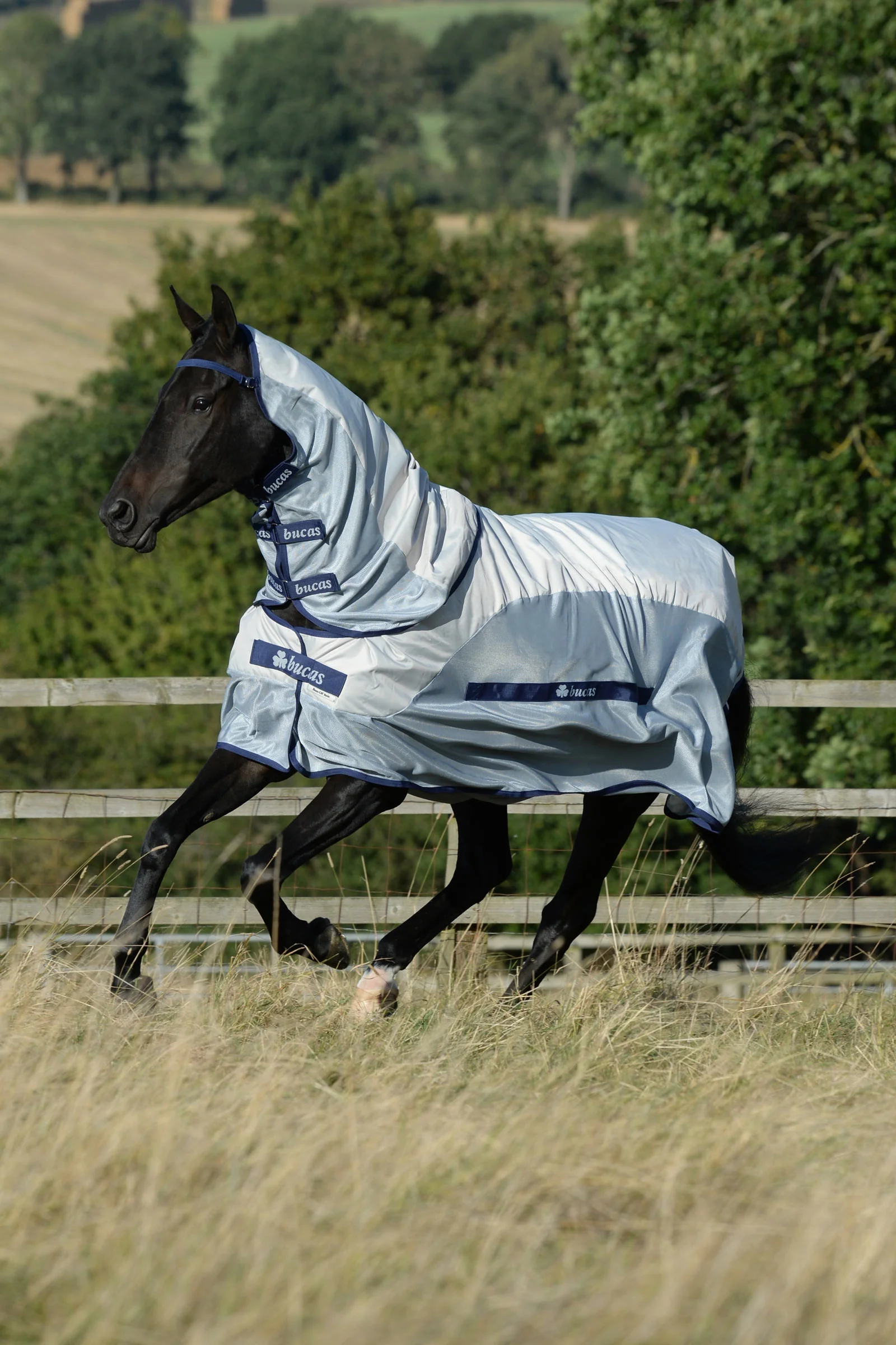 Buzz-off Rain Fly & Rug with Removable Neck Silver/Blue 165