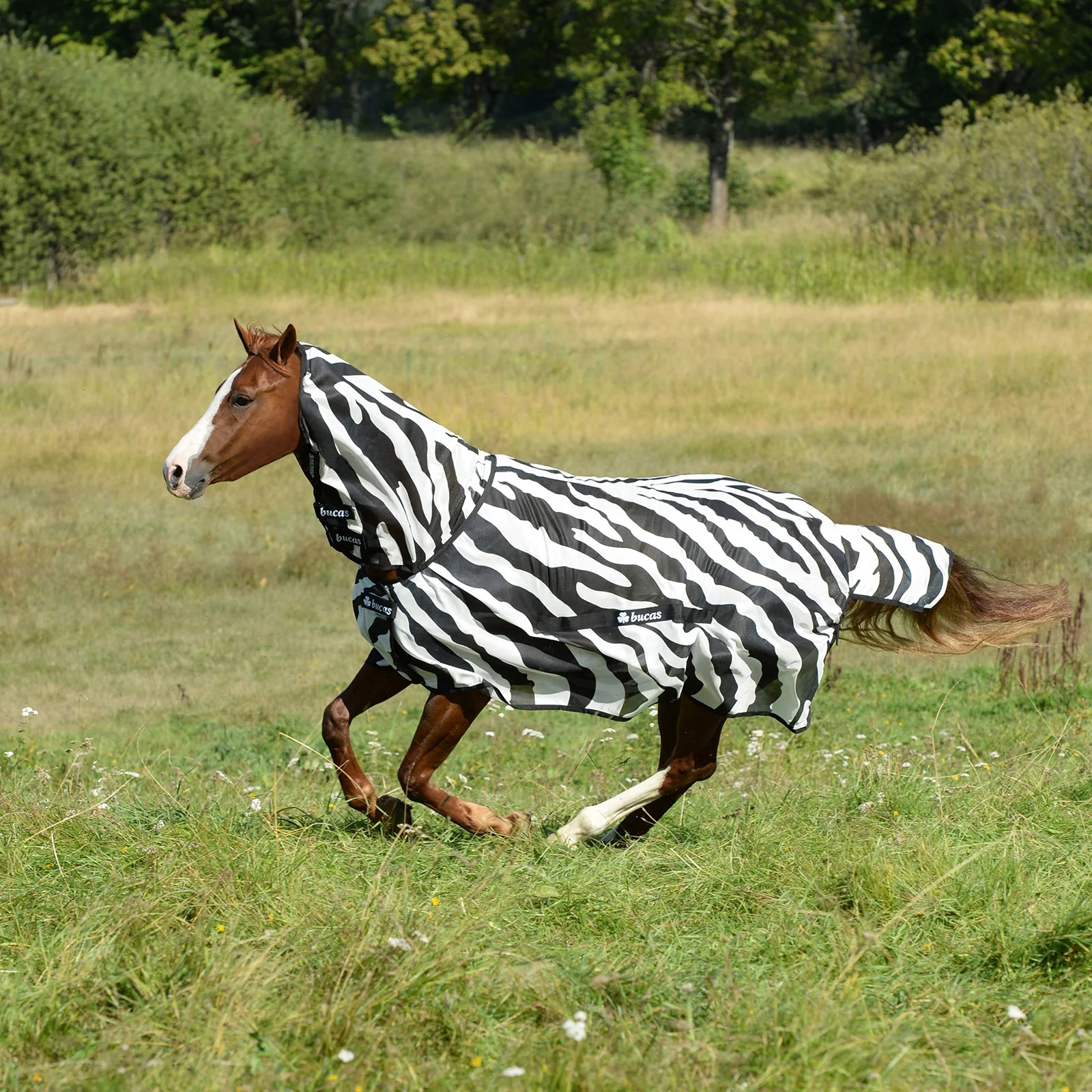 Buzz Off Zebra Fly Rug with fixed neck Black/White 85