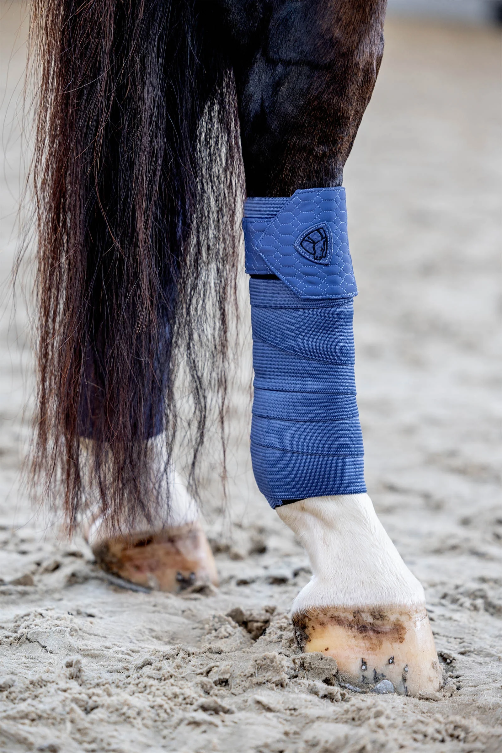 CATAGO FIR-Tech Grand Bandages Crown Blue One Size