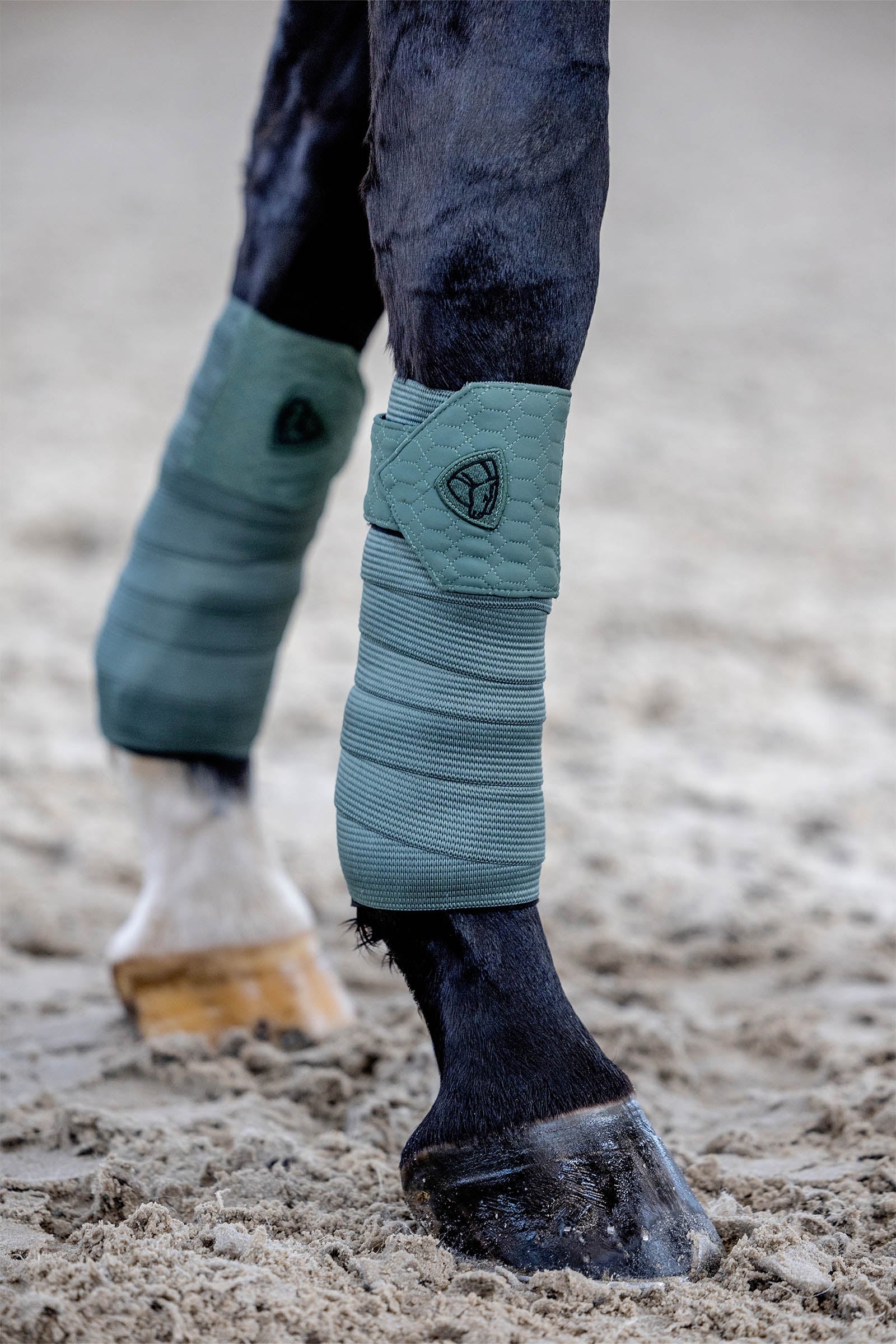 CATAGO FIR-Tech Grand Bandages Duck Green One Size
