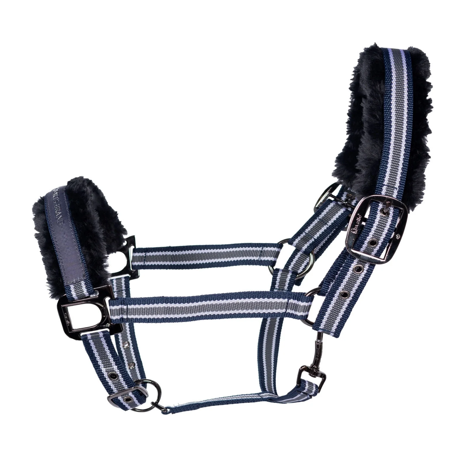 CAVALHELIA Halter DB P
