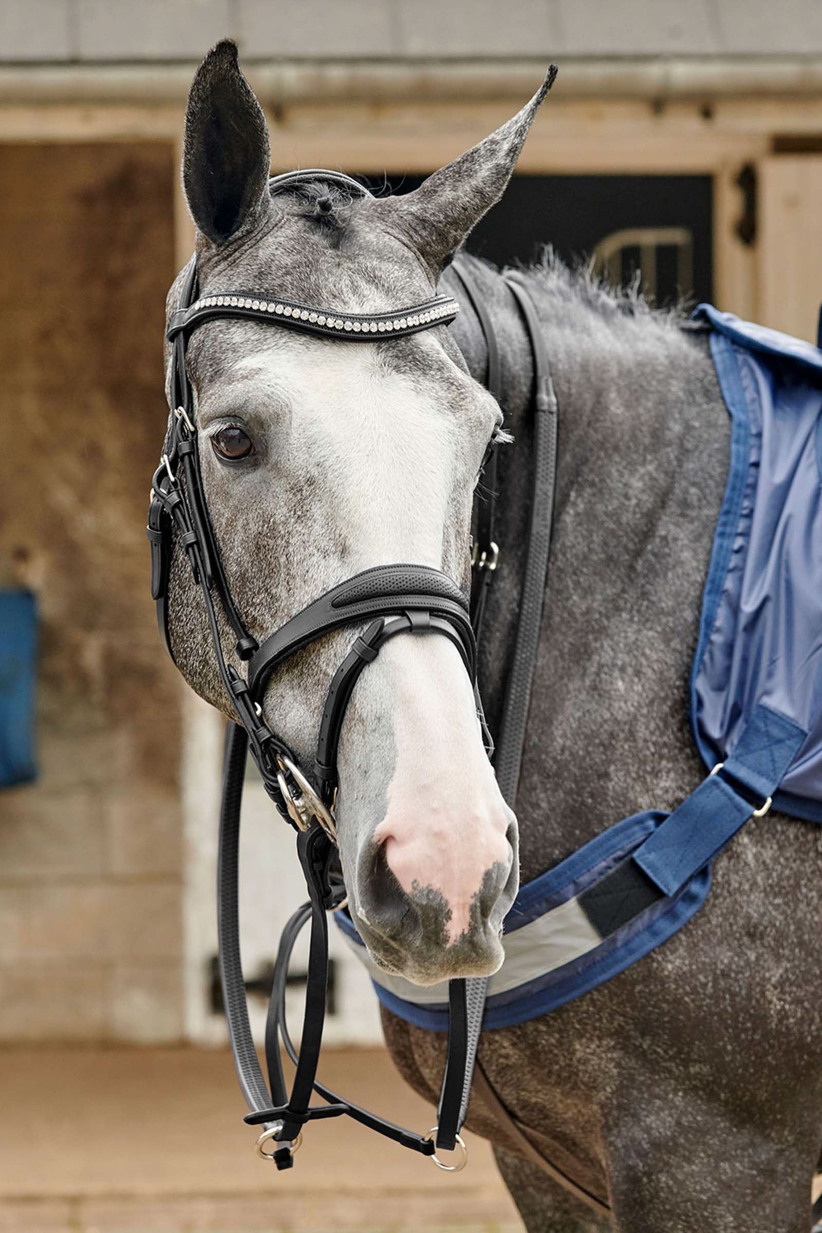 Chicago Perforated Bling Bridle Black P
