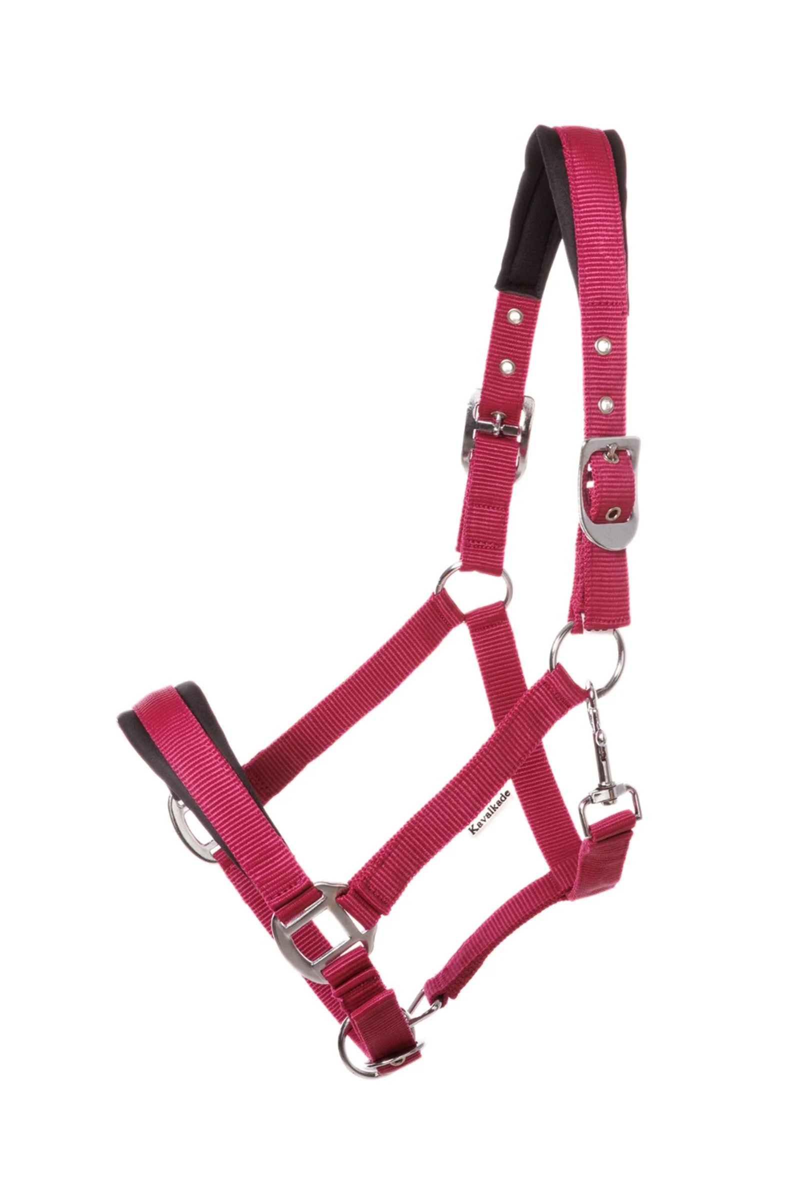 Classic Simple Halter Draft Horse Berry/Berry 0DH