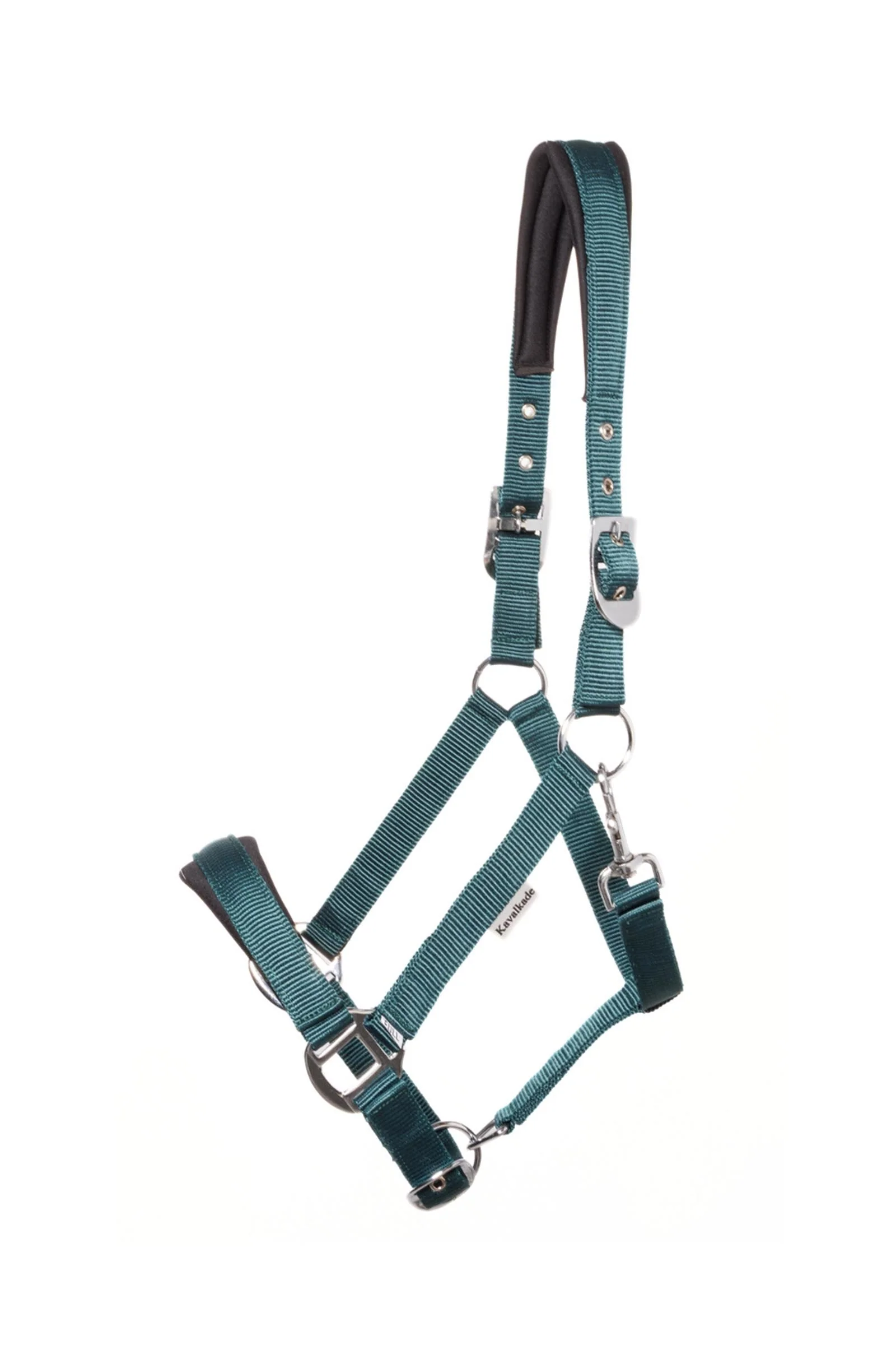 Classic Simple Halter Draft Horse Emerald Green/Emerald Green 0DH