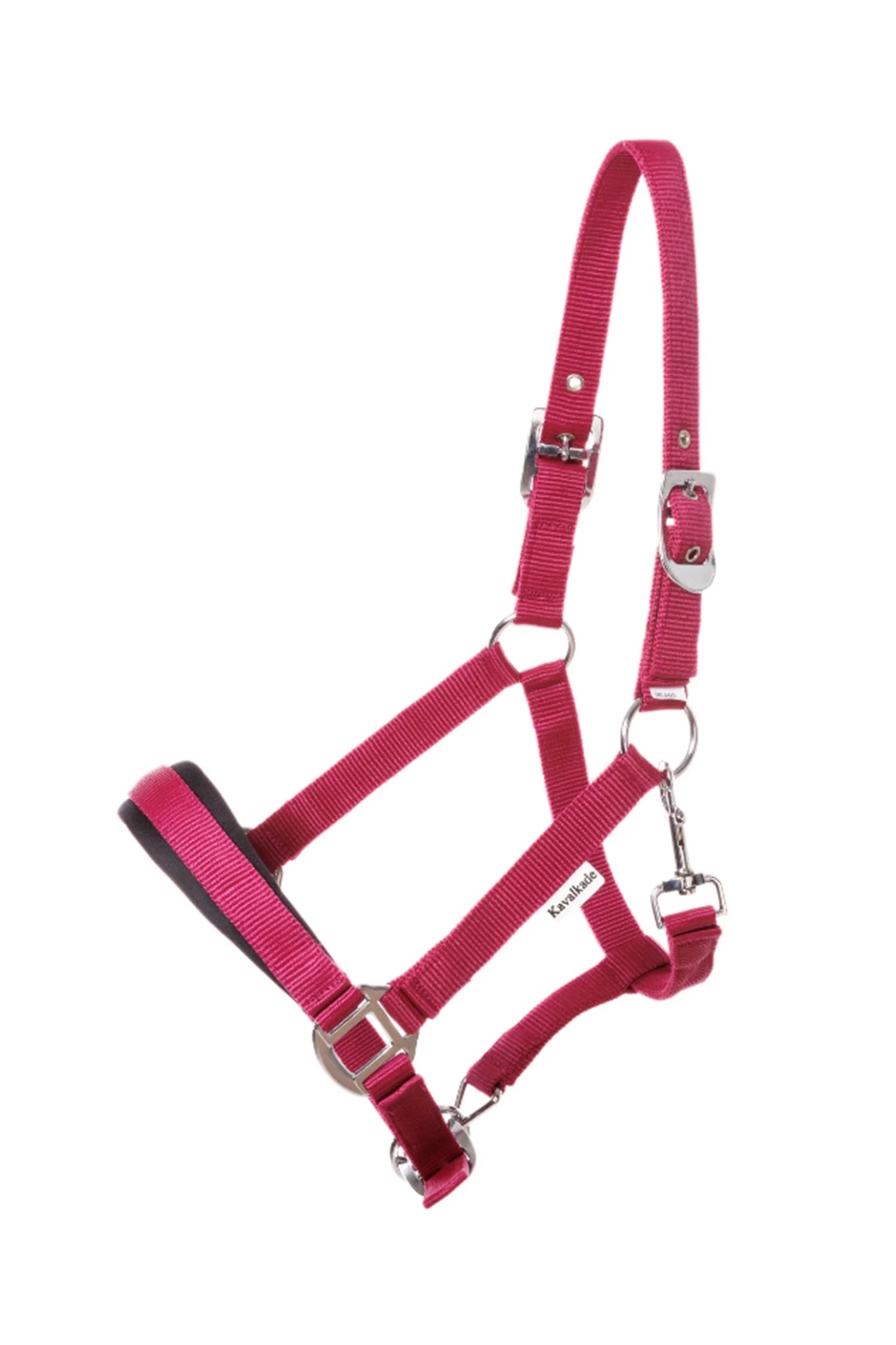 Classic Simple Halter Icelandic Berry/Berry Icelandic Horse