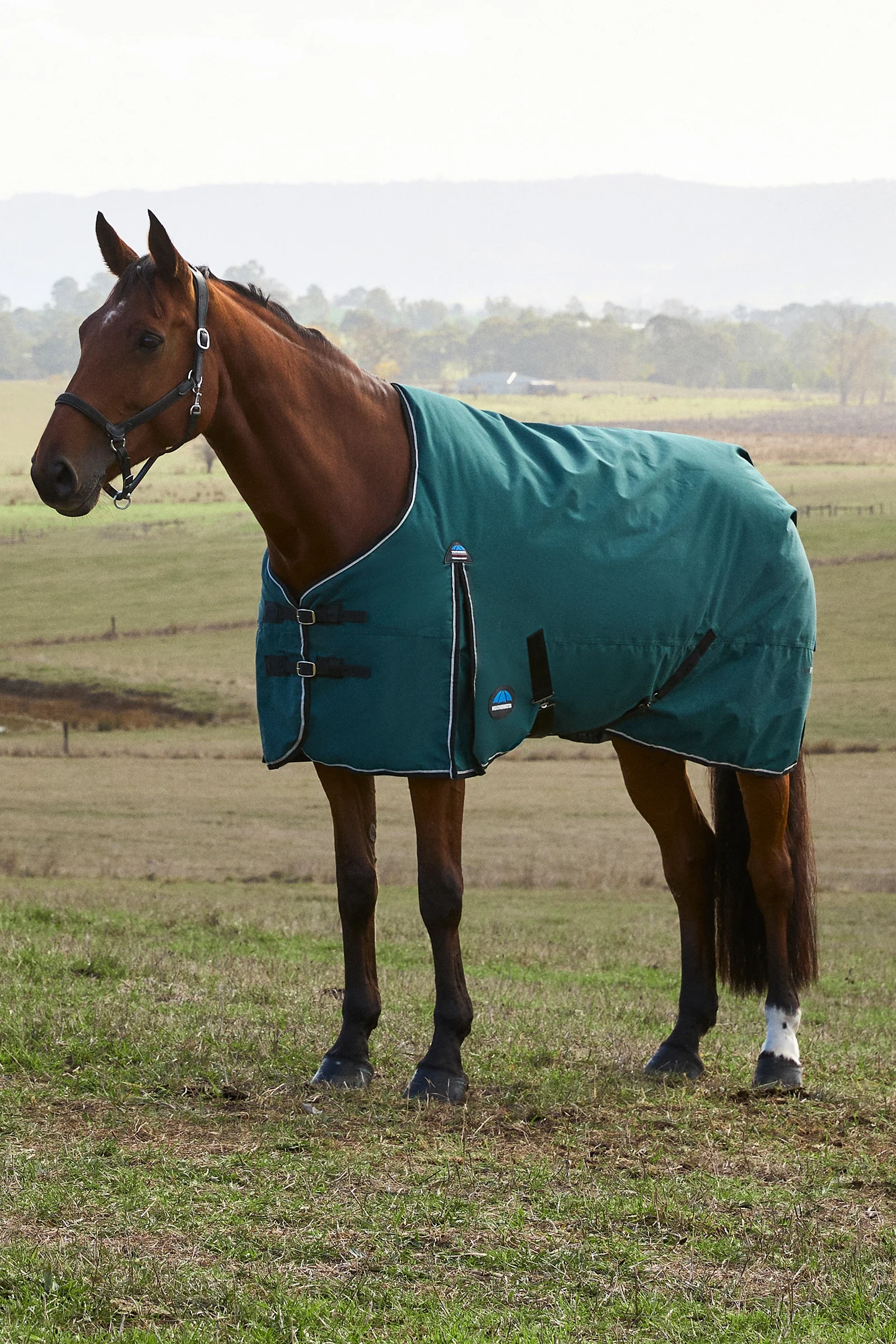 ComFiTec Classic Turnout Standard Neck 220G Forest Green/Black 155