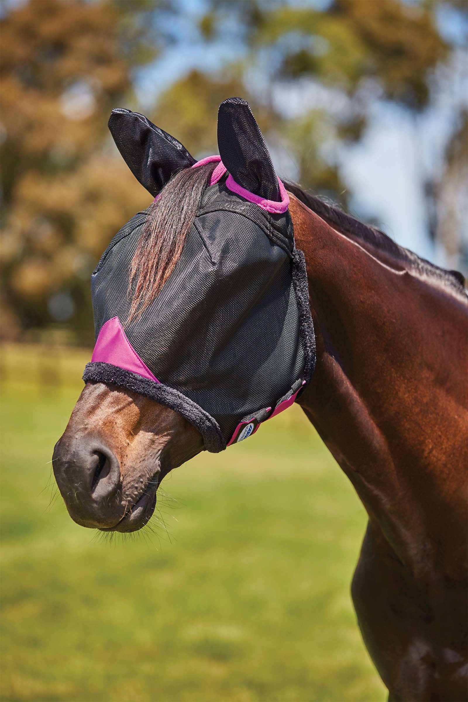 Comfitec Deluxe Durable Mesh Mask with Ears Black/Purple C