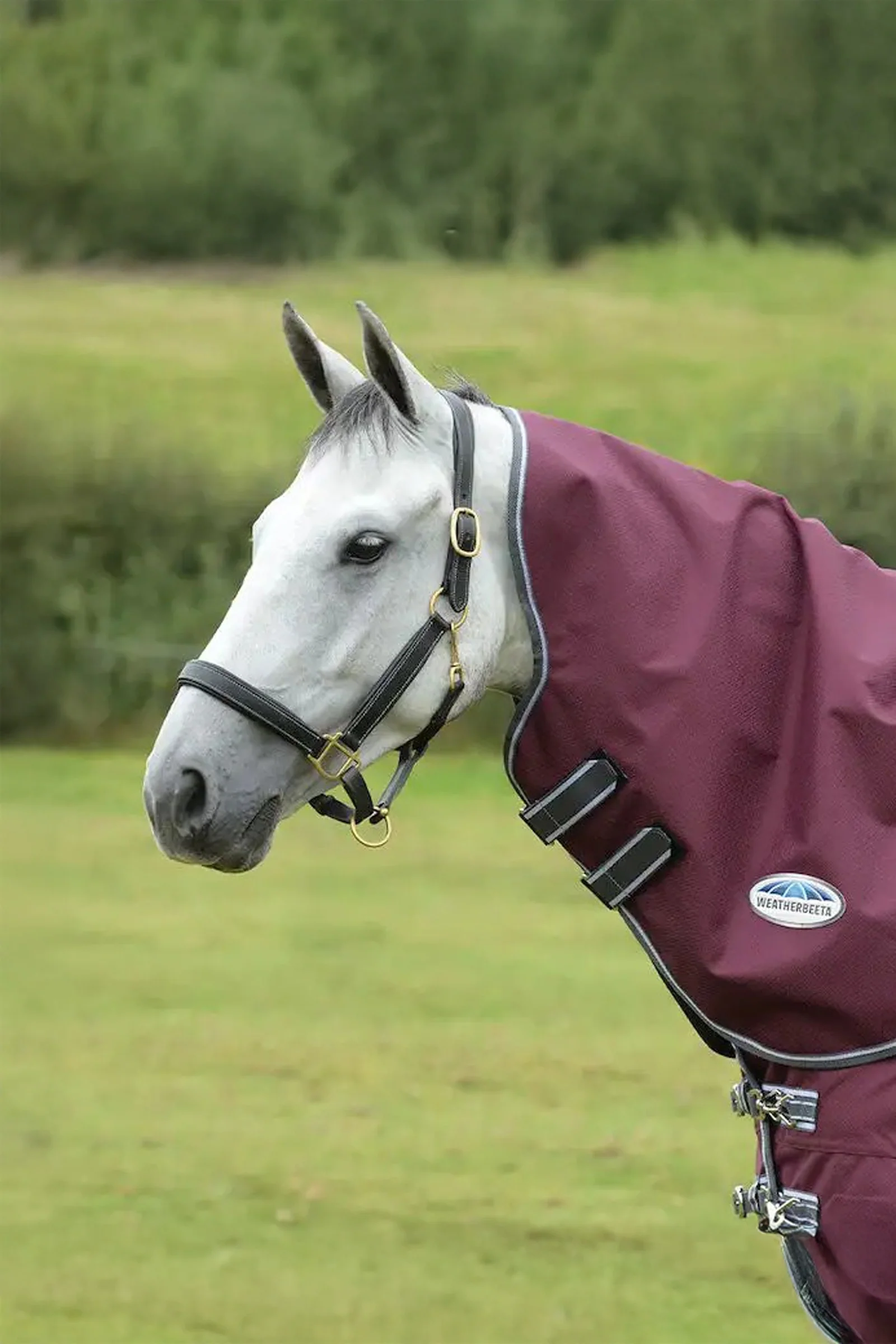 Comfitec Plus Dynamic II  Medium/Lite Neck Piece, 100g Maroon Dark Red/ Grey White M