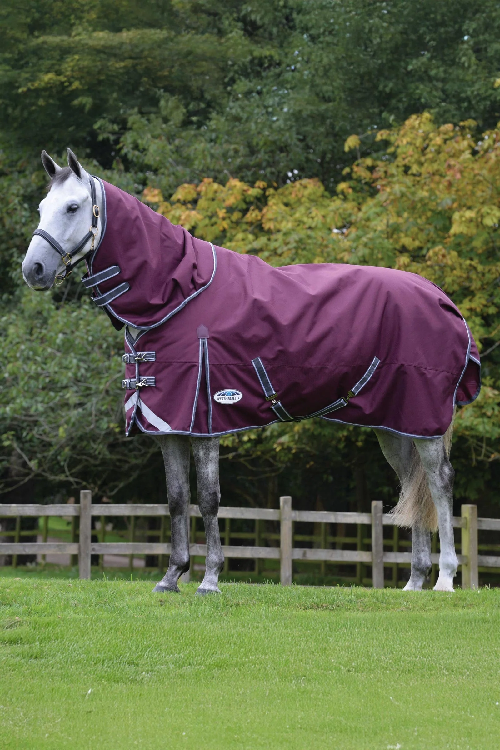 Comfitec Plus Dynamic II Turnout Rug With Detachable Neck, 100g Maroon Dark Red/ Grey White 120