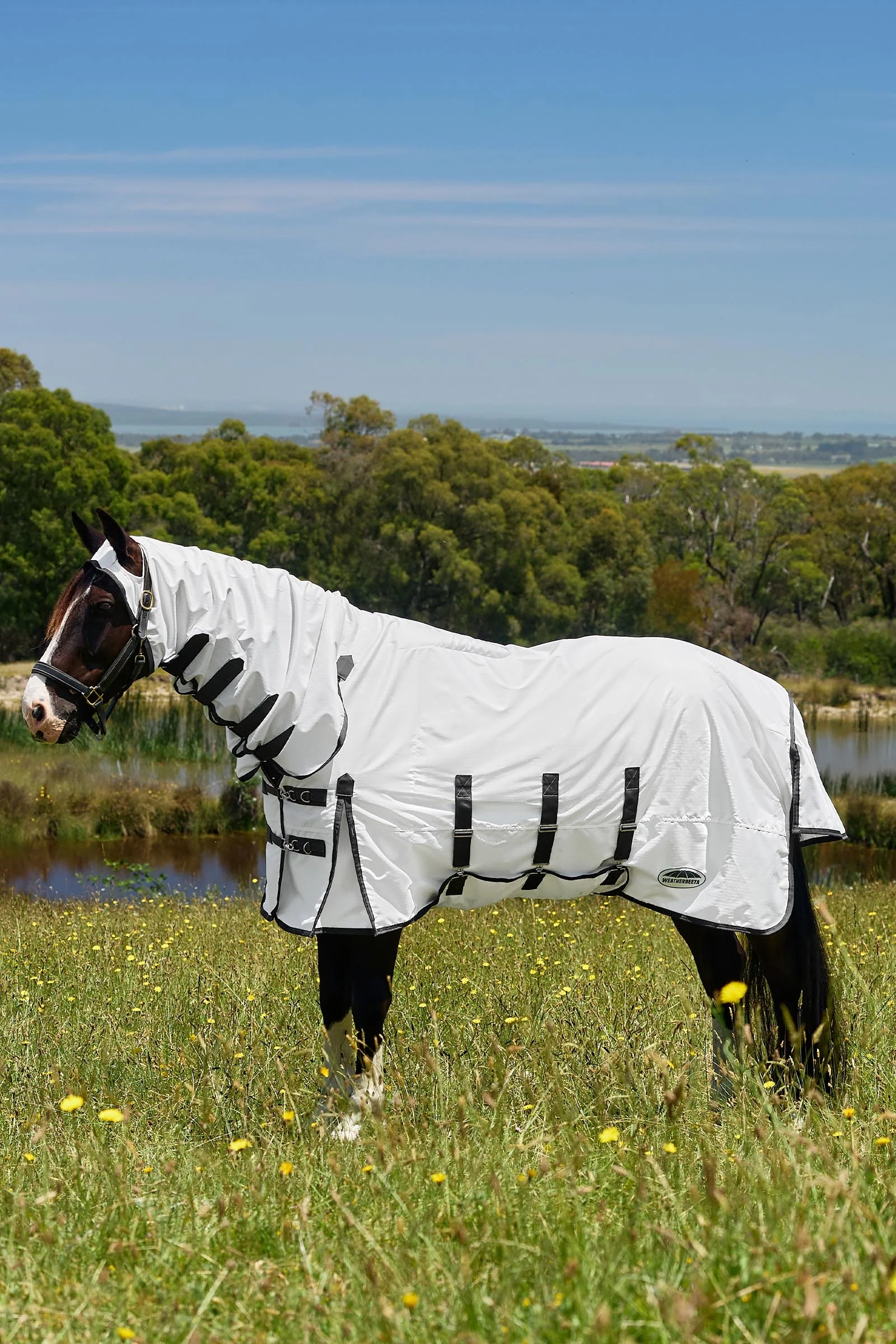 Comfitec Sweet Itch Shield Fly Sheet Combo W. Fixed Neck, 0g White/Charcoal 105