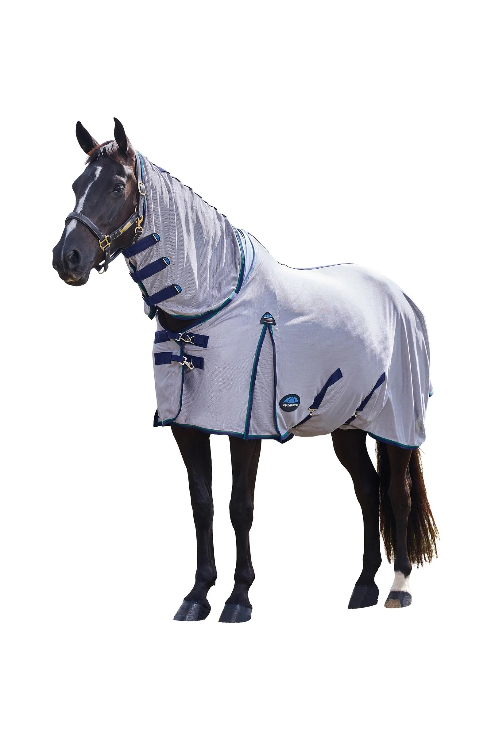Comfitec Zephyr Fly Sheet Combo W. Fixed Neck, 0g Grey/Navy/Forest Green 135
