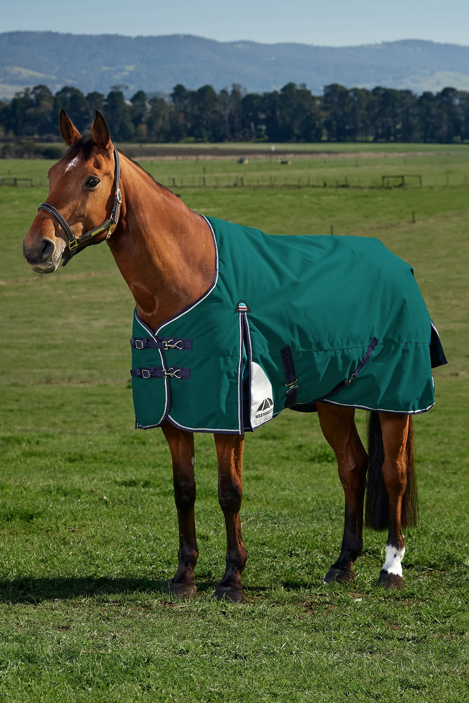 ComFiTecPlus Dynamic Turnout Detach-a-Neck, 100 g Forest Green/Navy 160