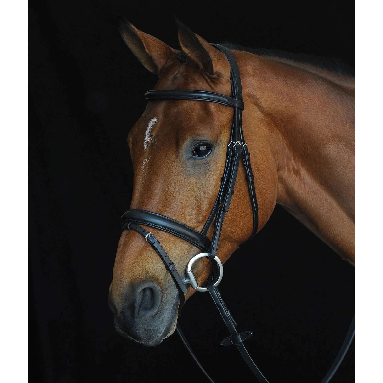 Comfort Crown Padded Raised Flash Bridle Black P