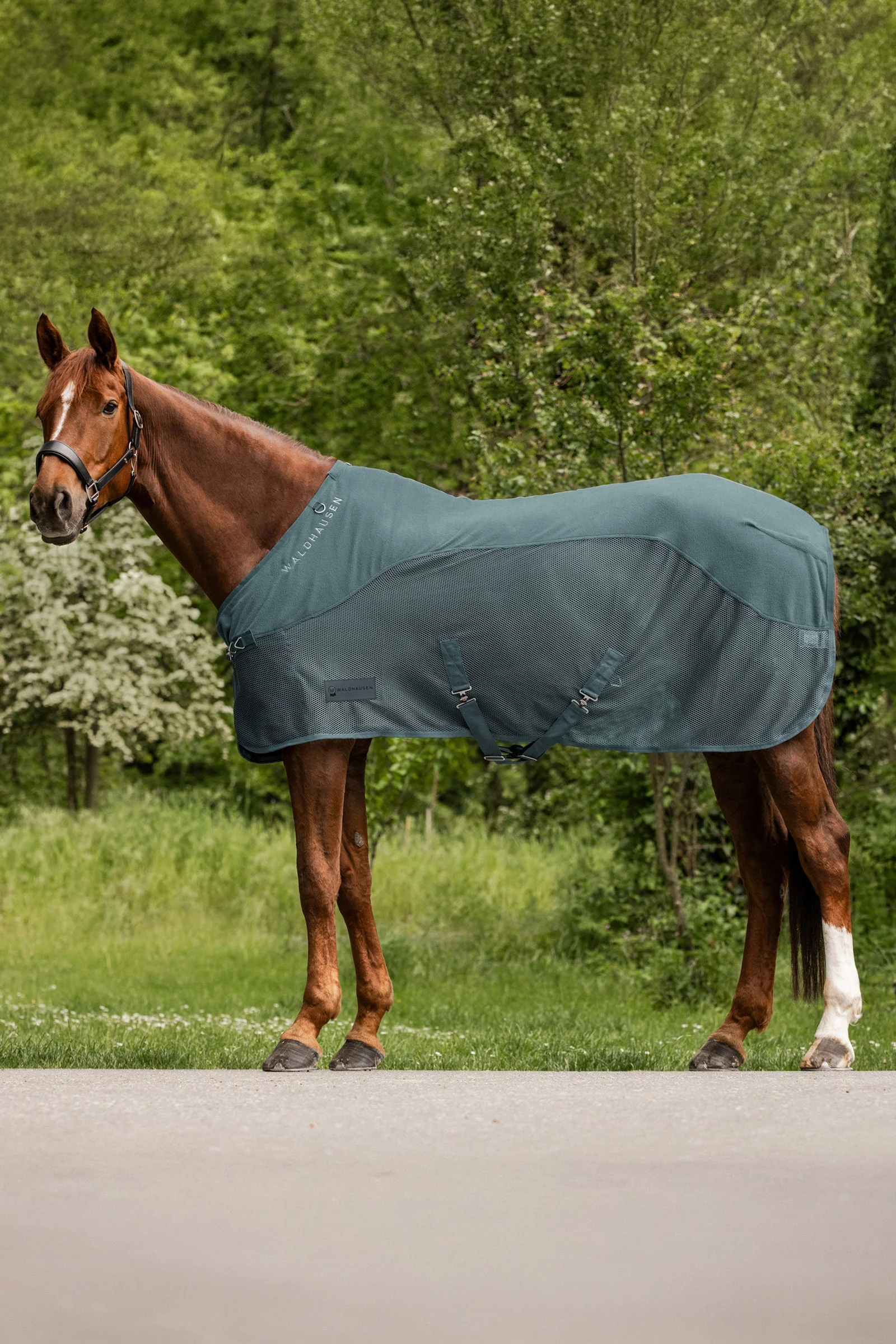 Comfort Fleece Fly Rug Pine Green 155