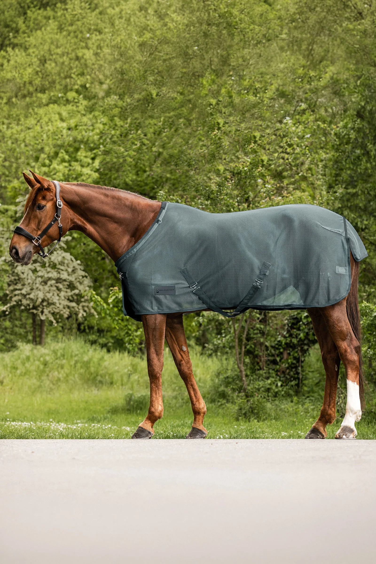 Comfort Fly Rug Pine Green 125