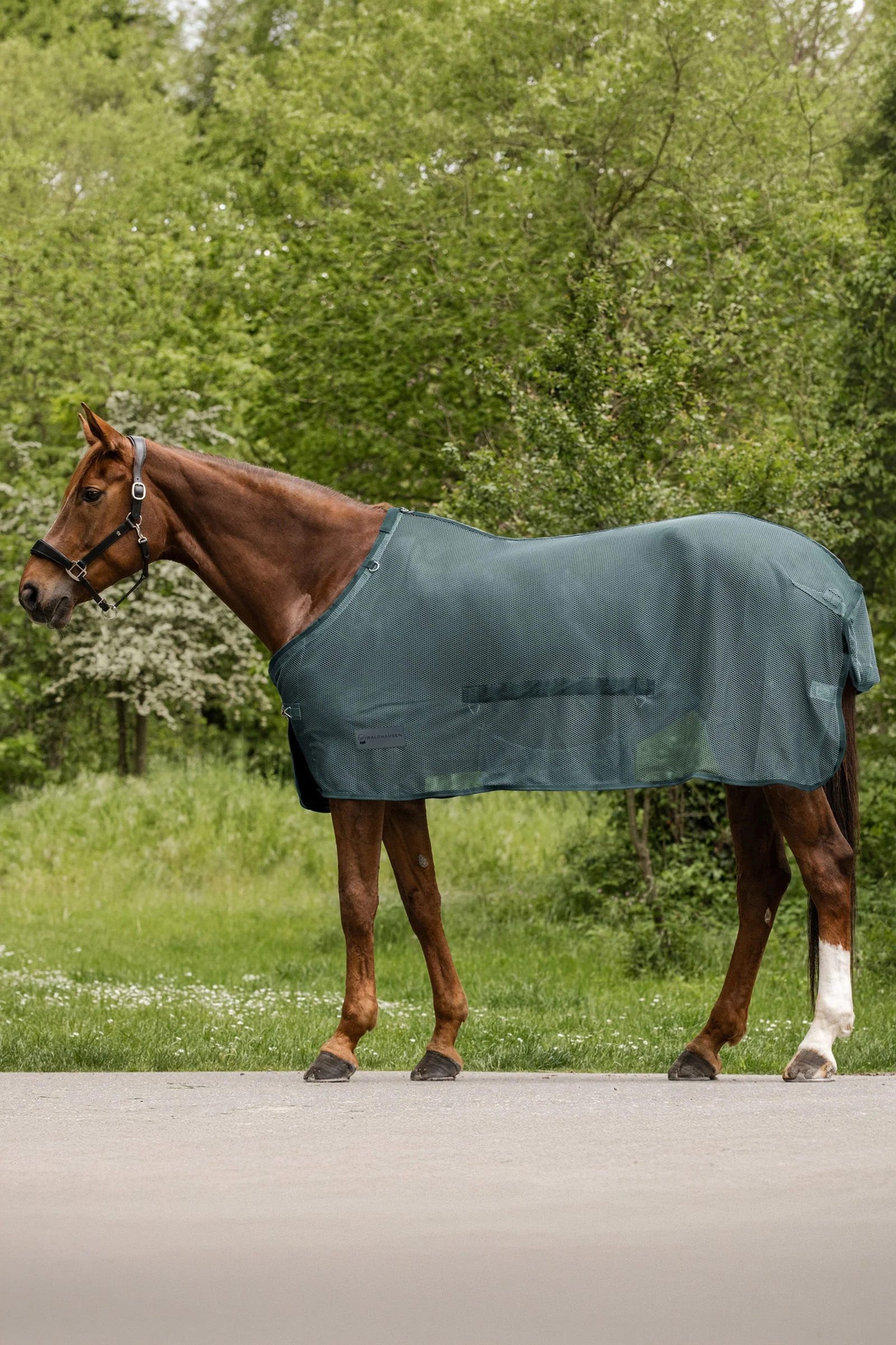 Comfort Fly Rug With Belly Flap Pine Green 145