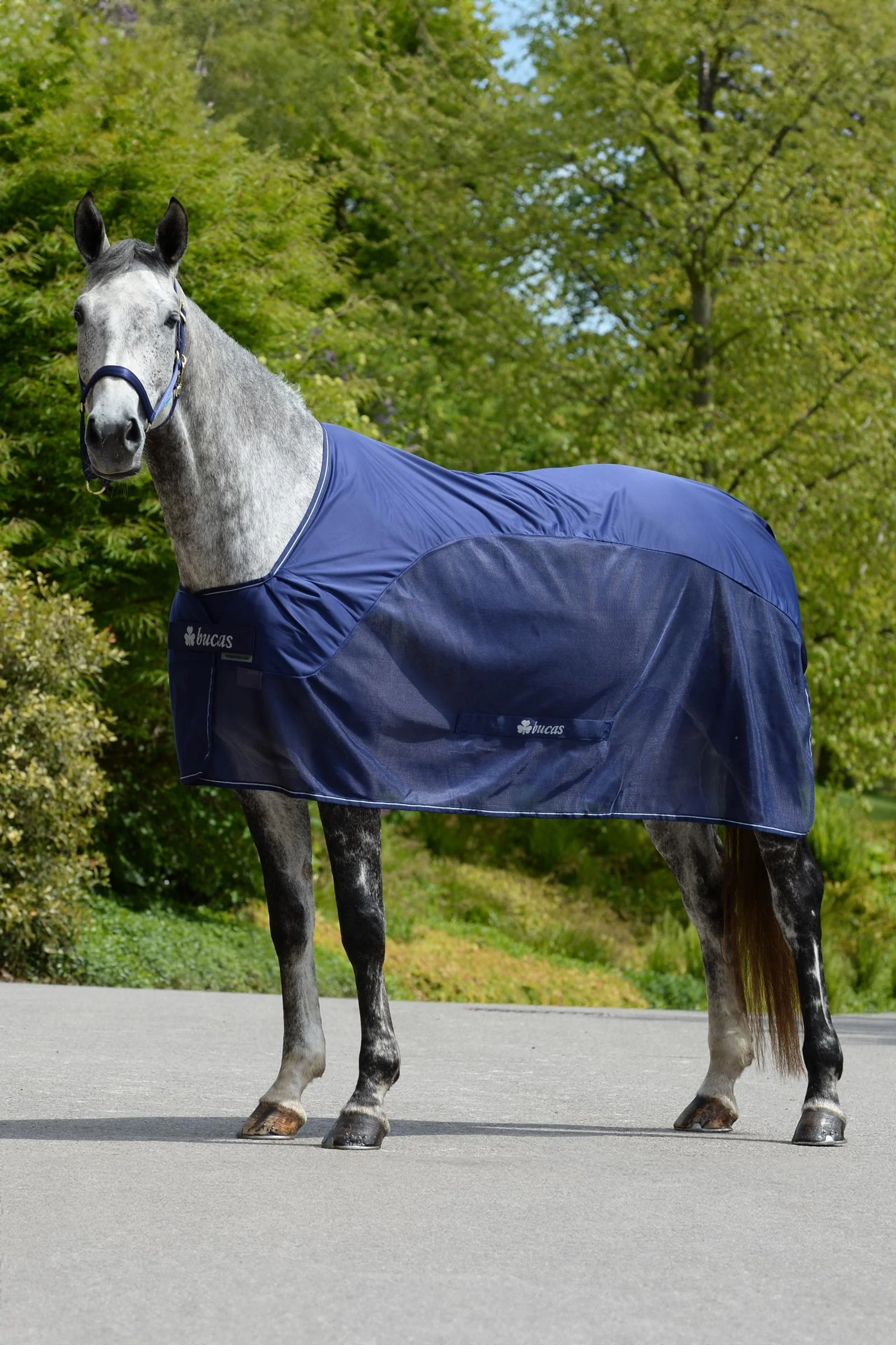 Competition Cooler Dark Blue/Silver 135