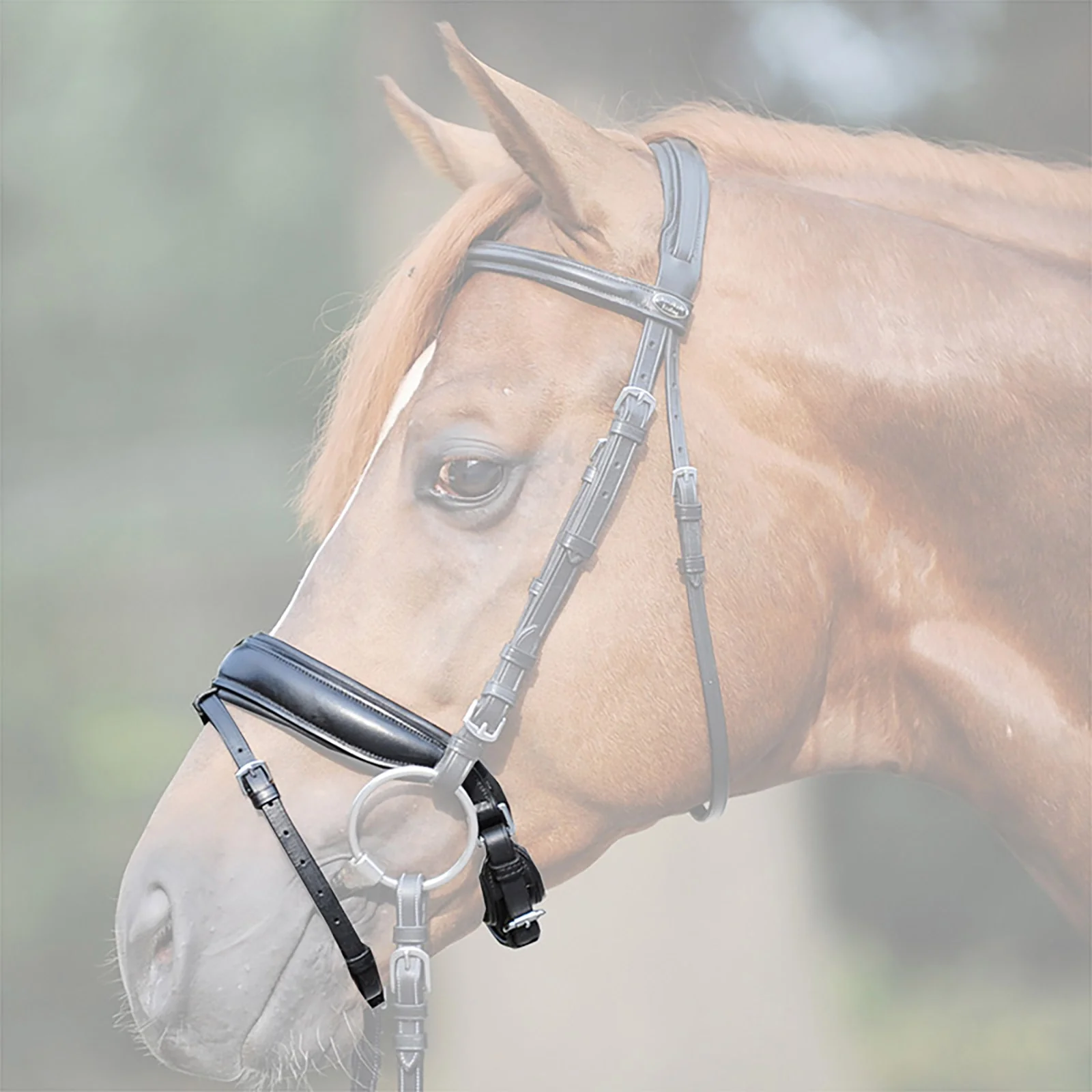 Crank noseband, extra wide BL F