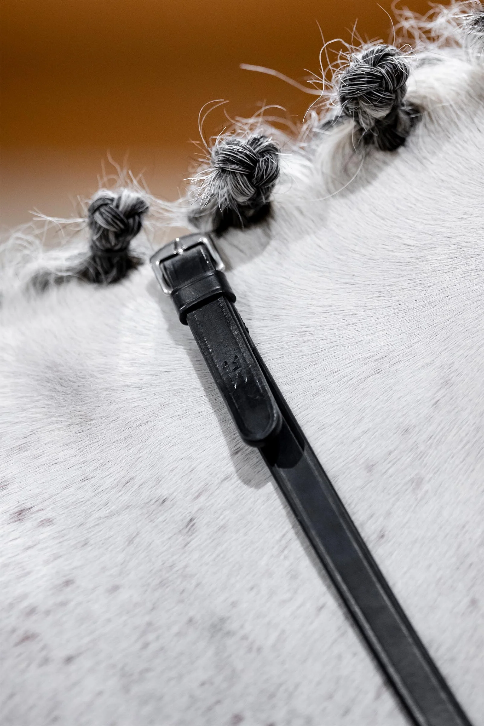 Curb Reins Black F