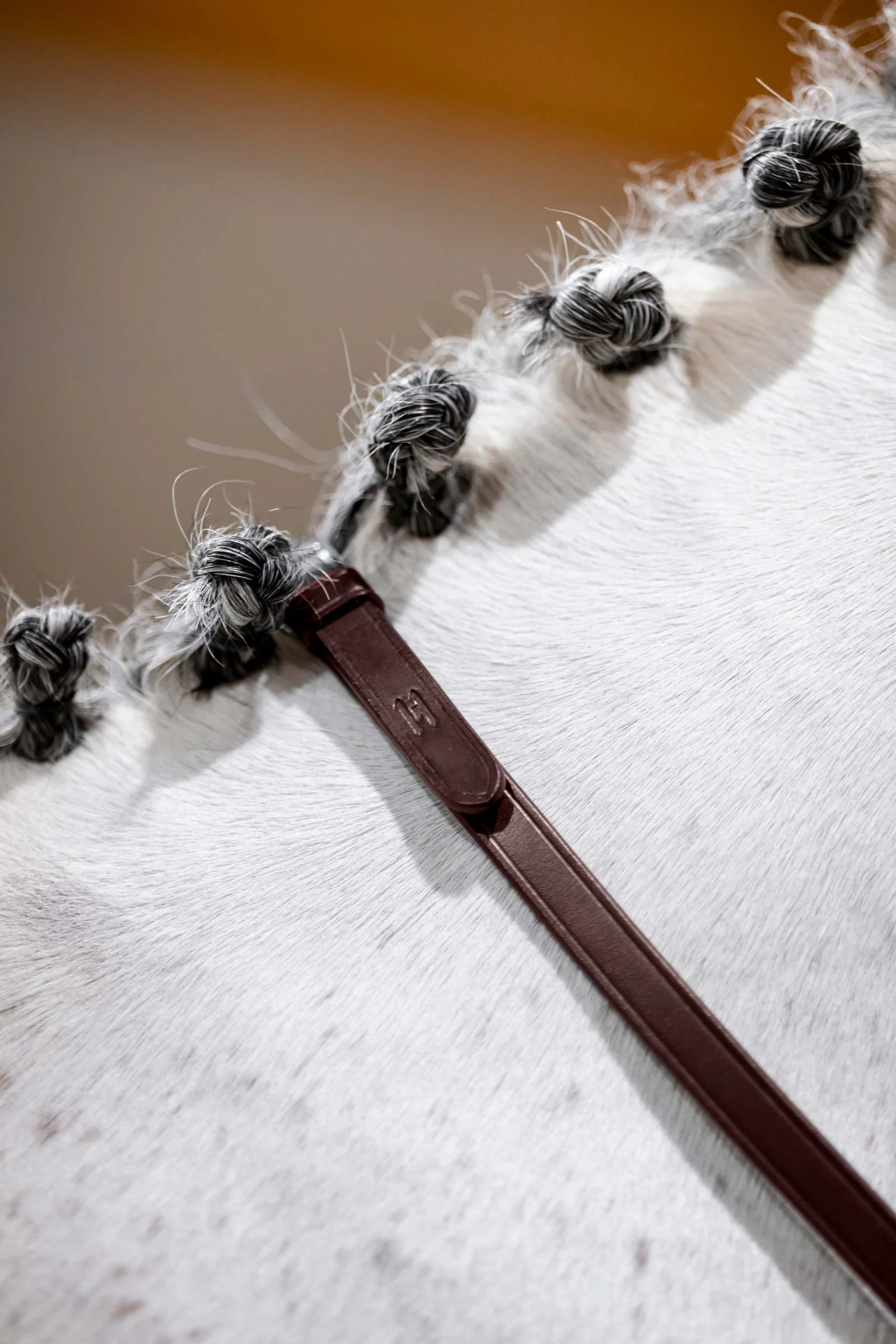 Curb Reins Brown P