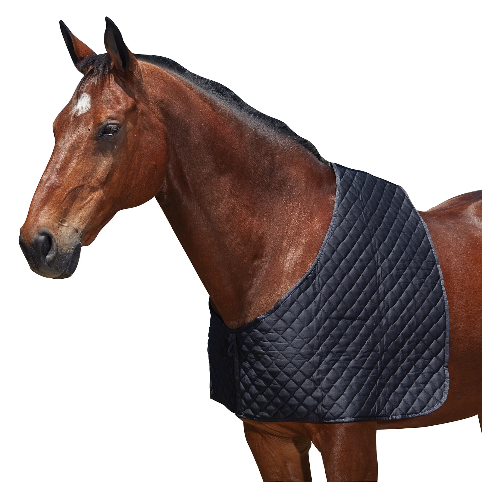 Deluxe Shoulder Guard Black SHP